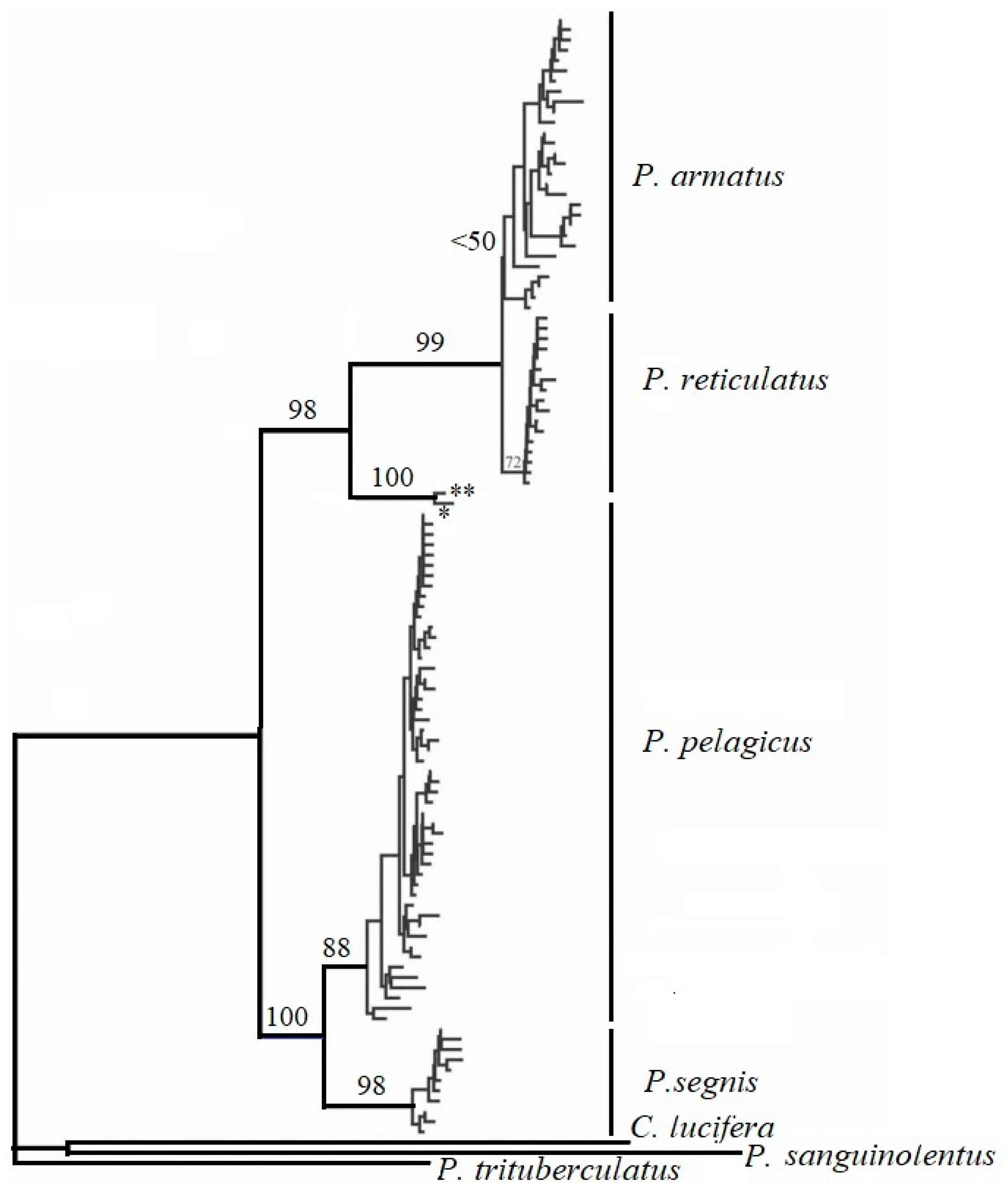 Toxics 11 00426 g004