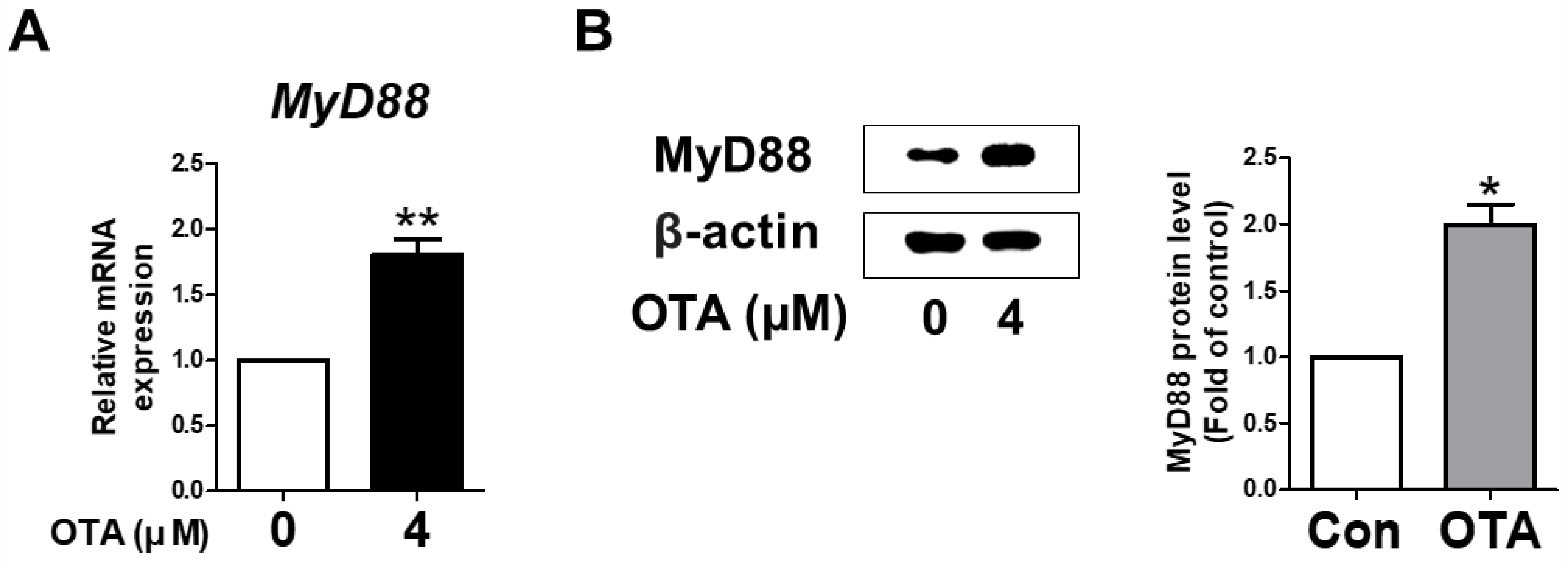 Toxics 11 00437 g002