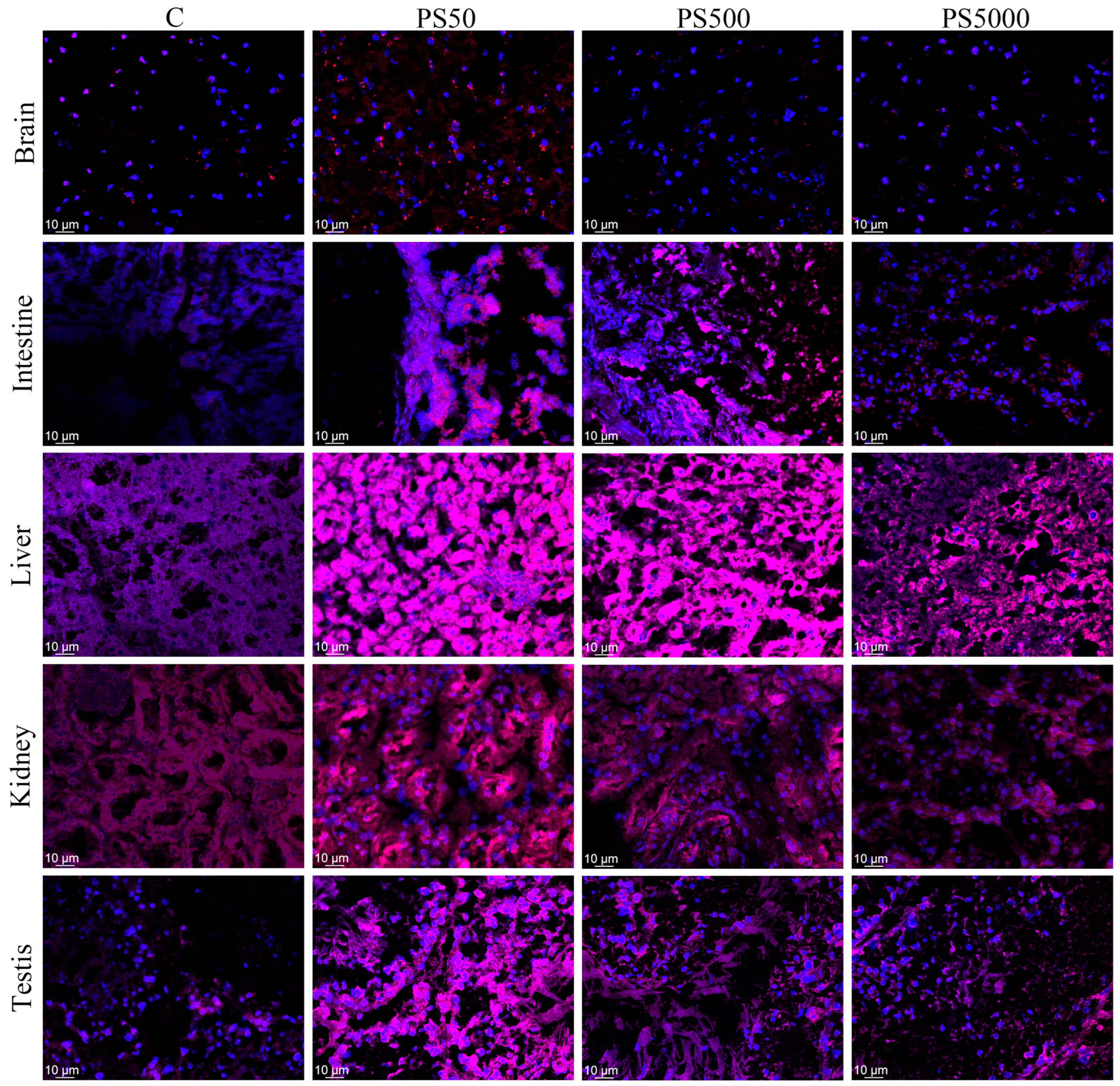 Toxics 11 00441 g002