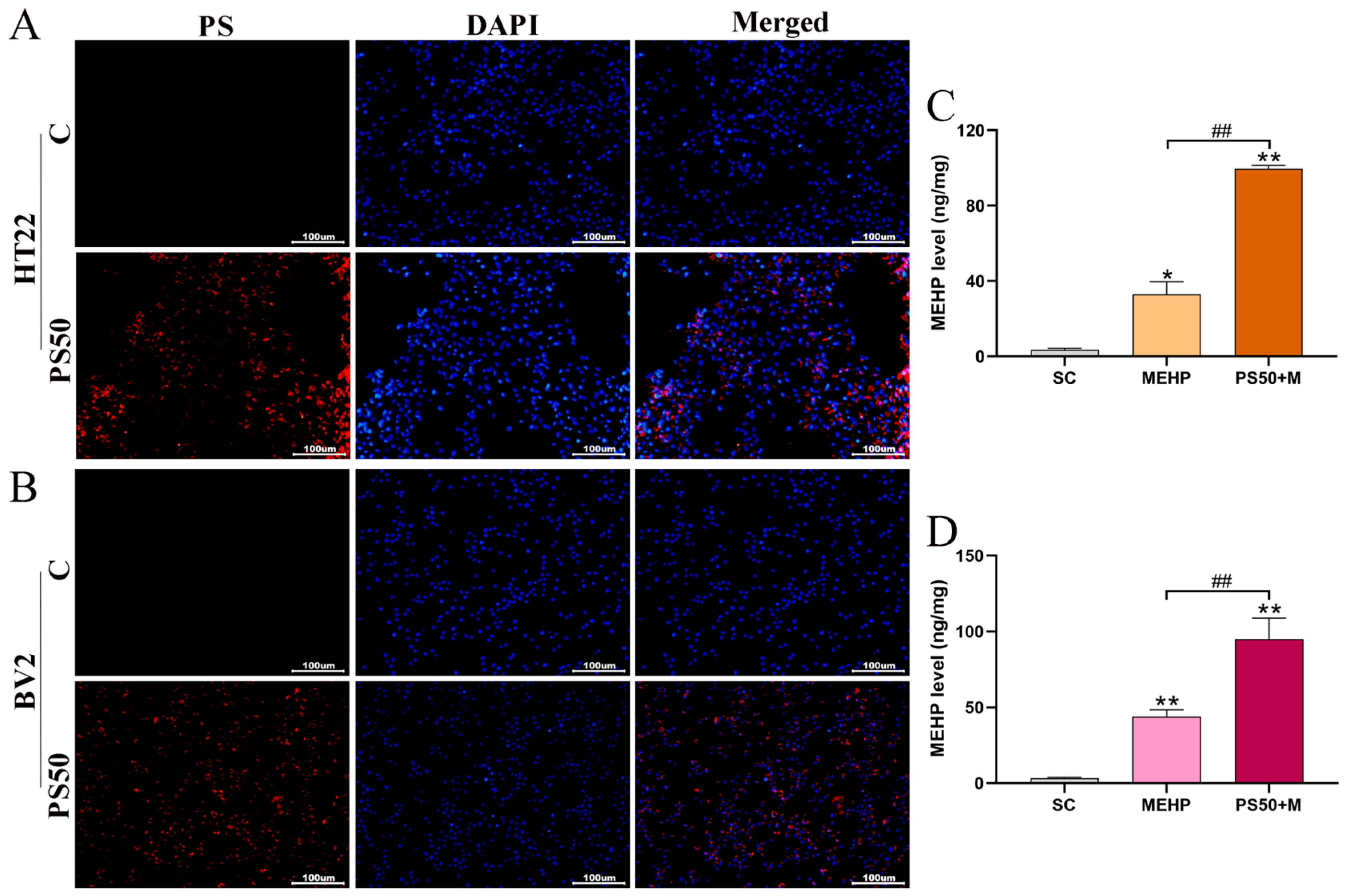 Toxics 11 00441 g007