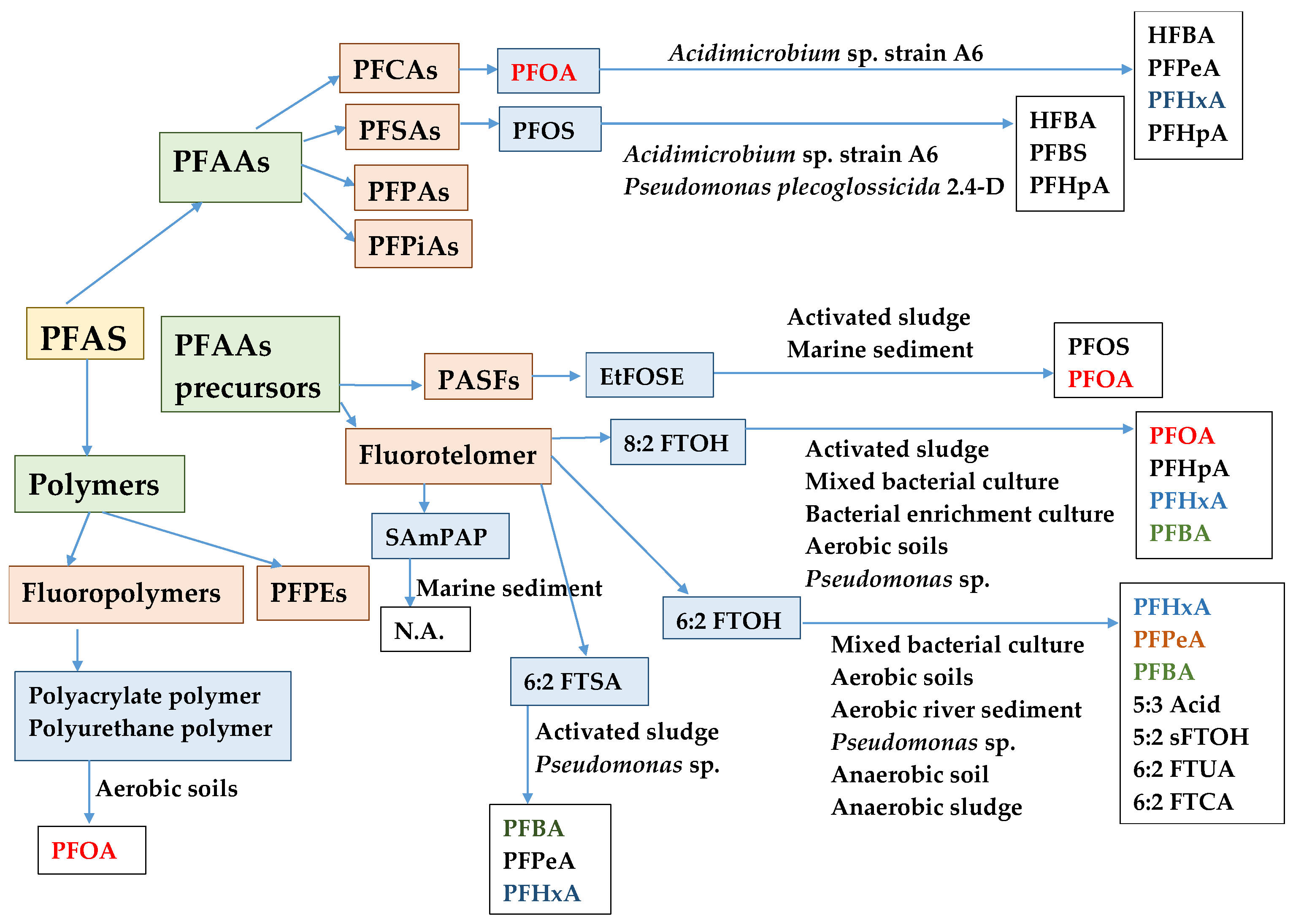 Toxics 11 00446 g001