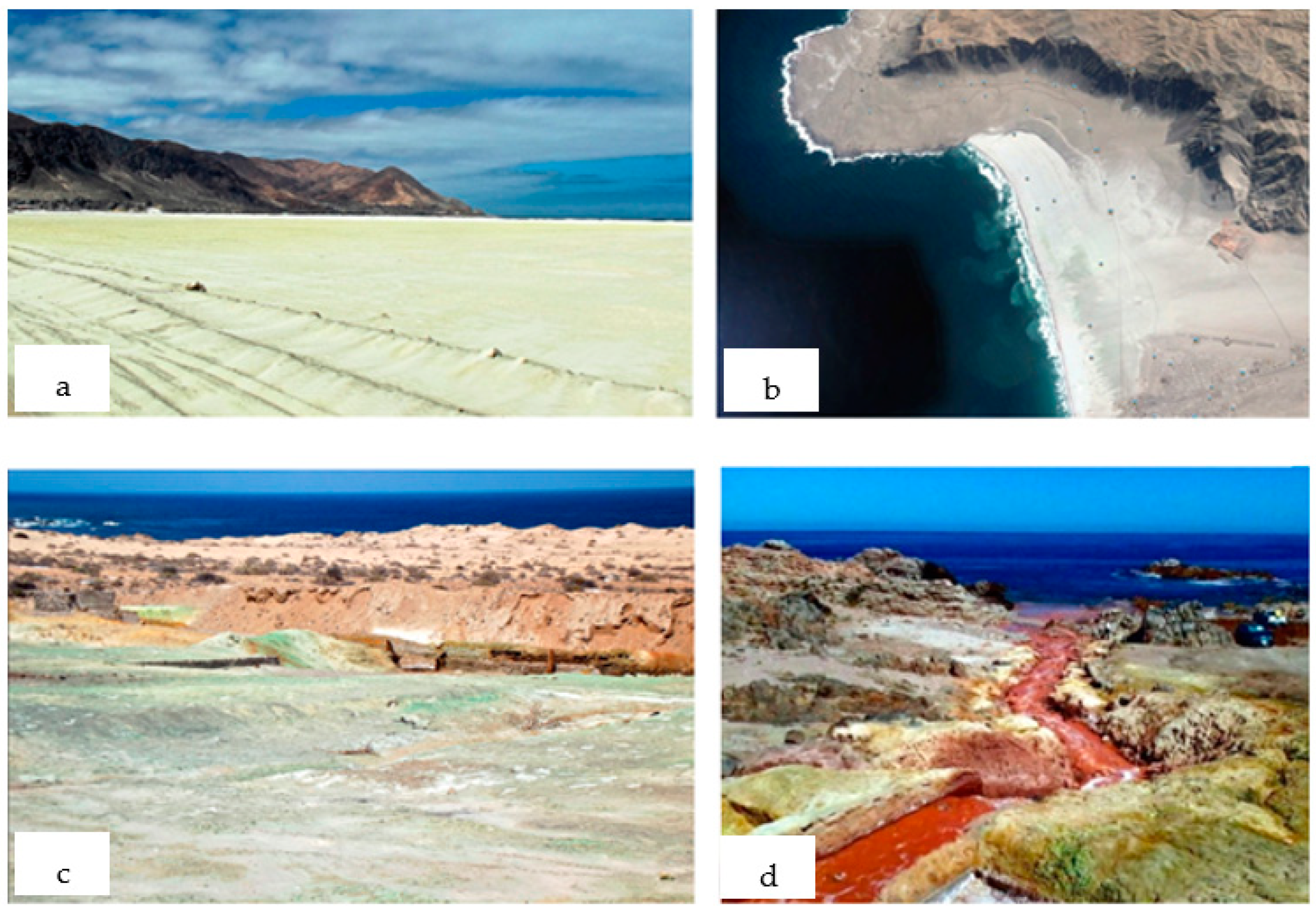 Toxics 11 00462 g006