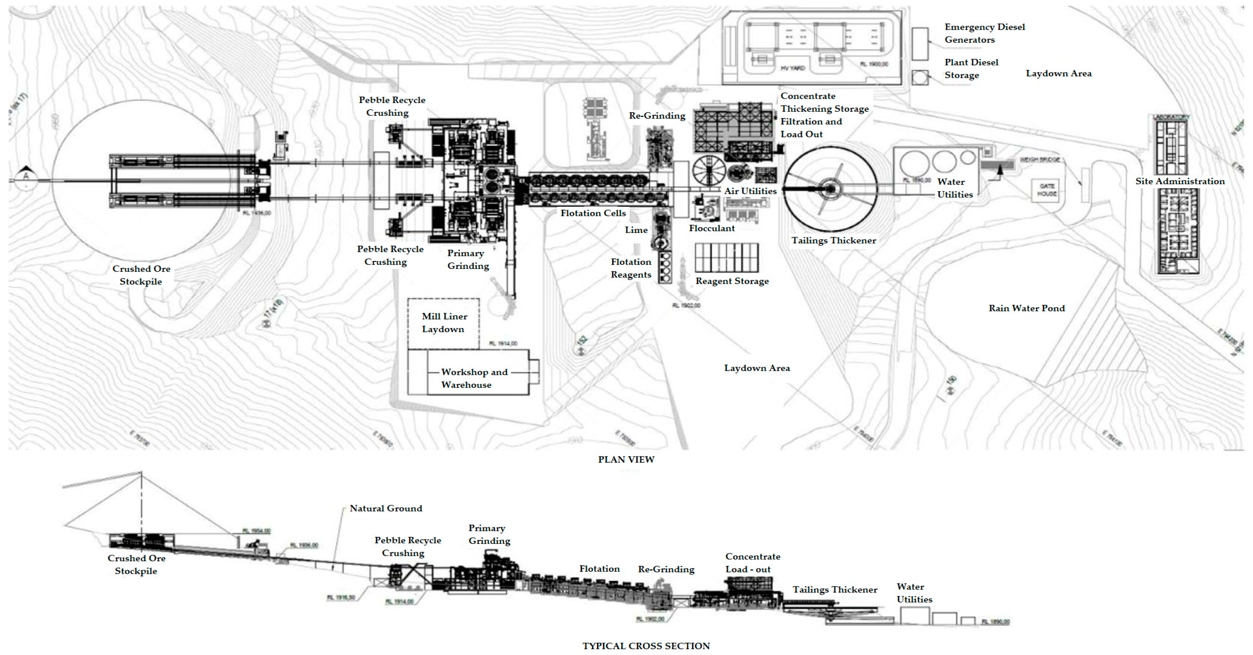 Toxics 11 00462 g011