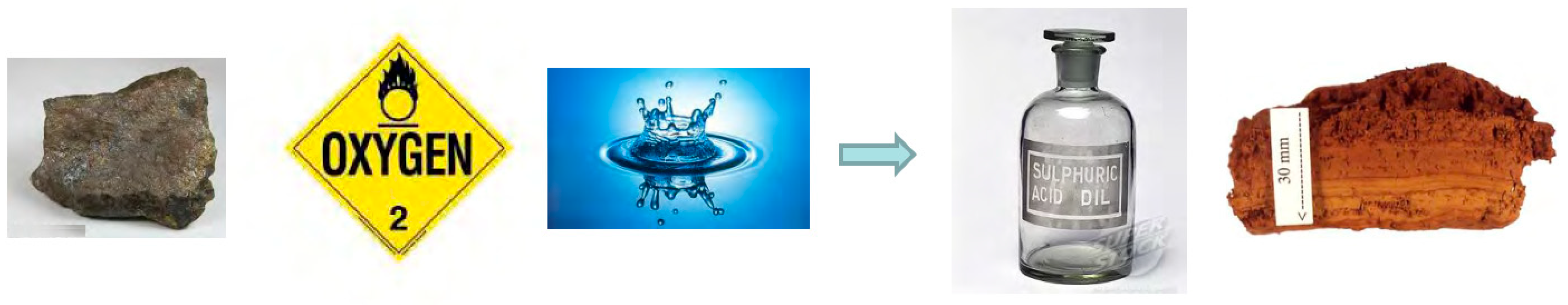 Toxics 11 00462 g022