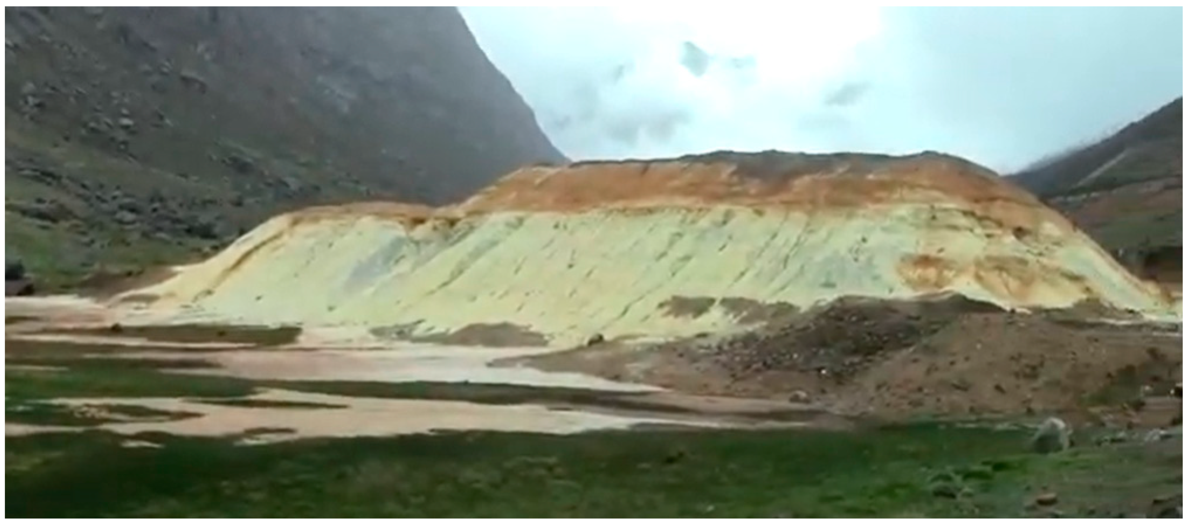 Toxics 11 00462 g023