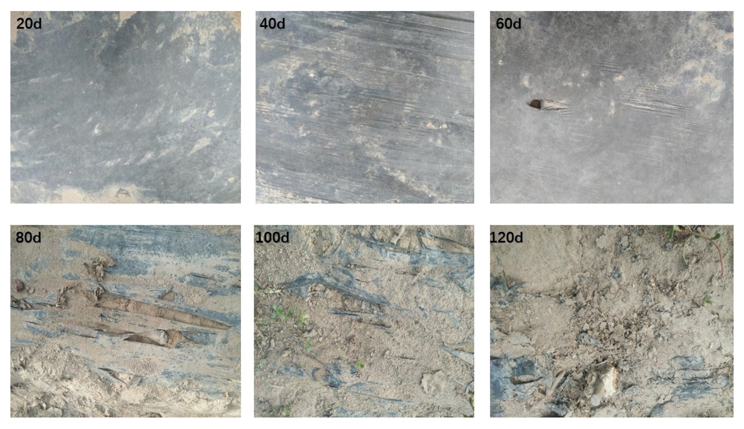 Toxics 11 00467 g003