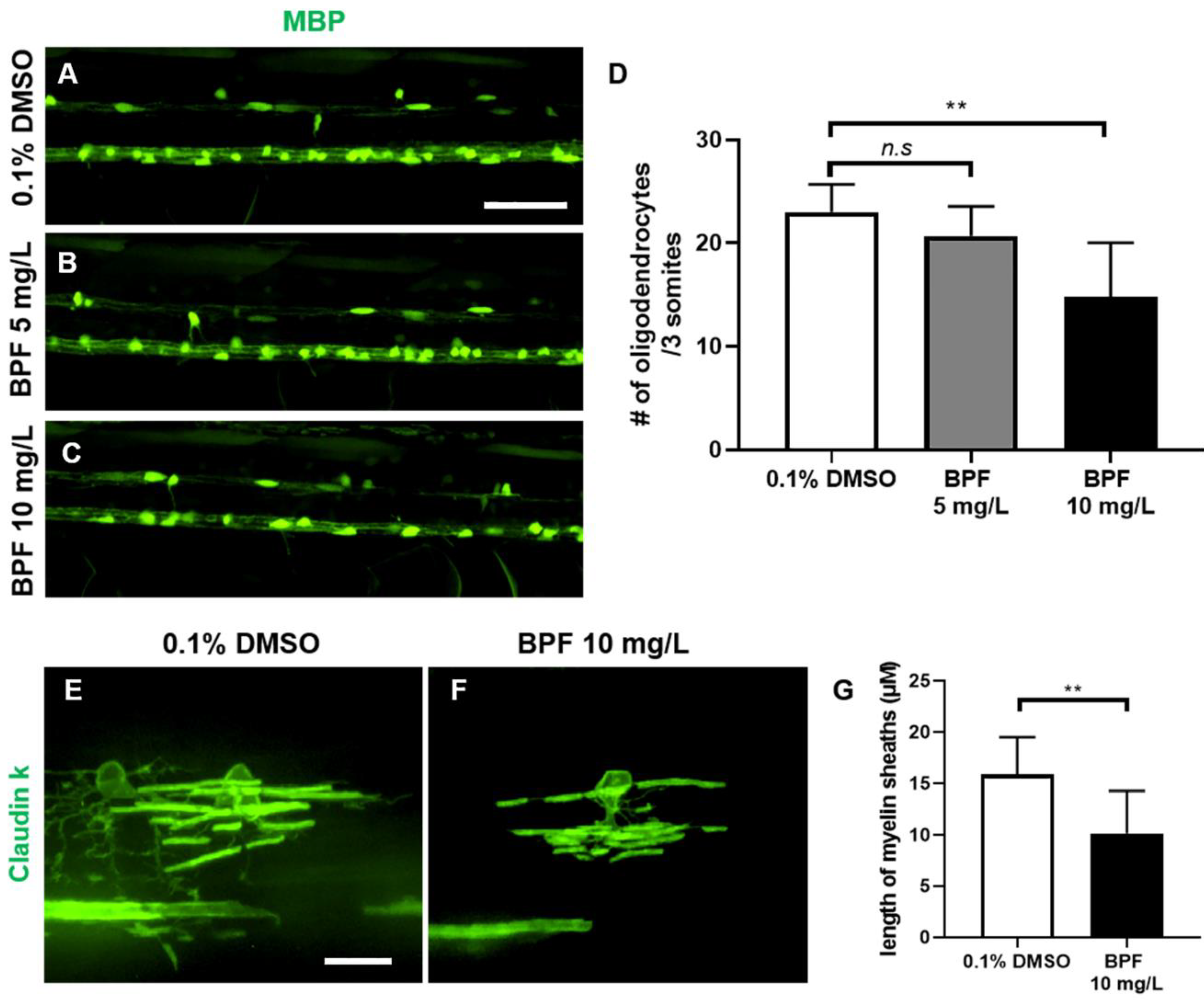 Toxics 11 00477 g006 Toxics 11 00477 g006