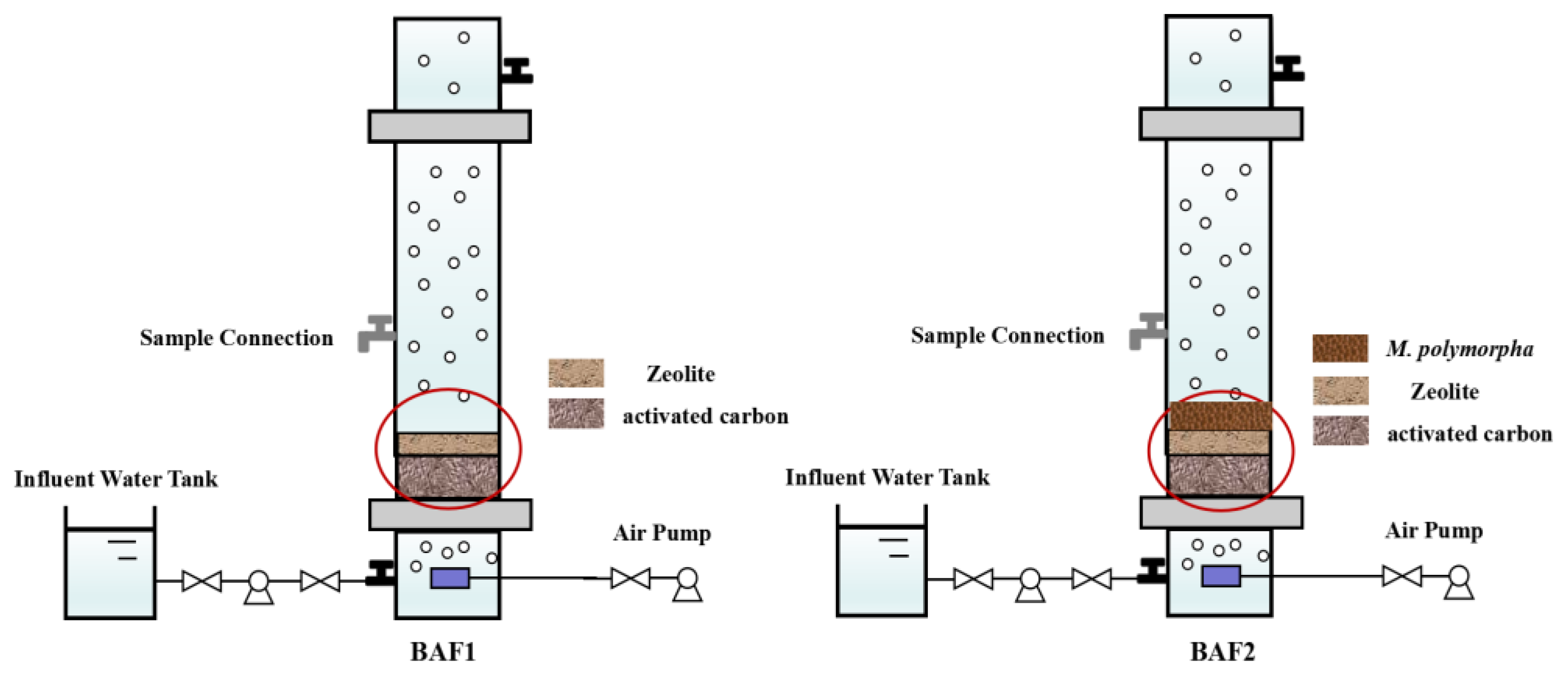 Toxics 11 00478 g001