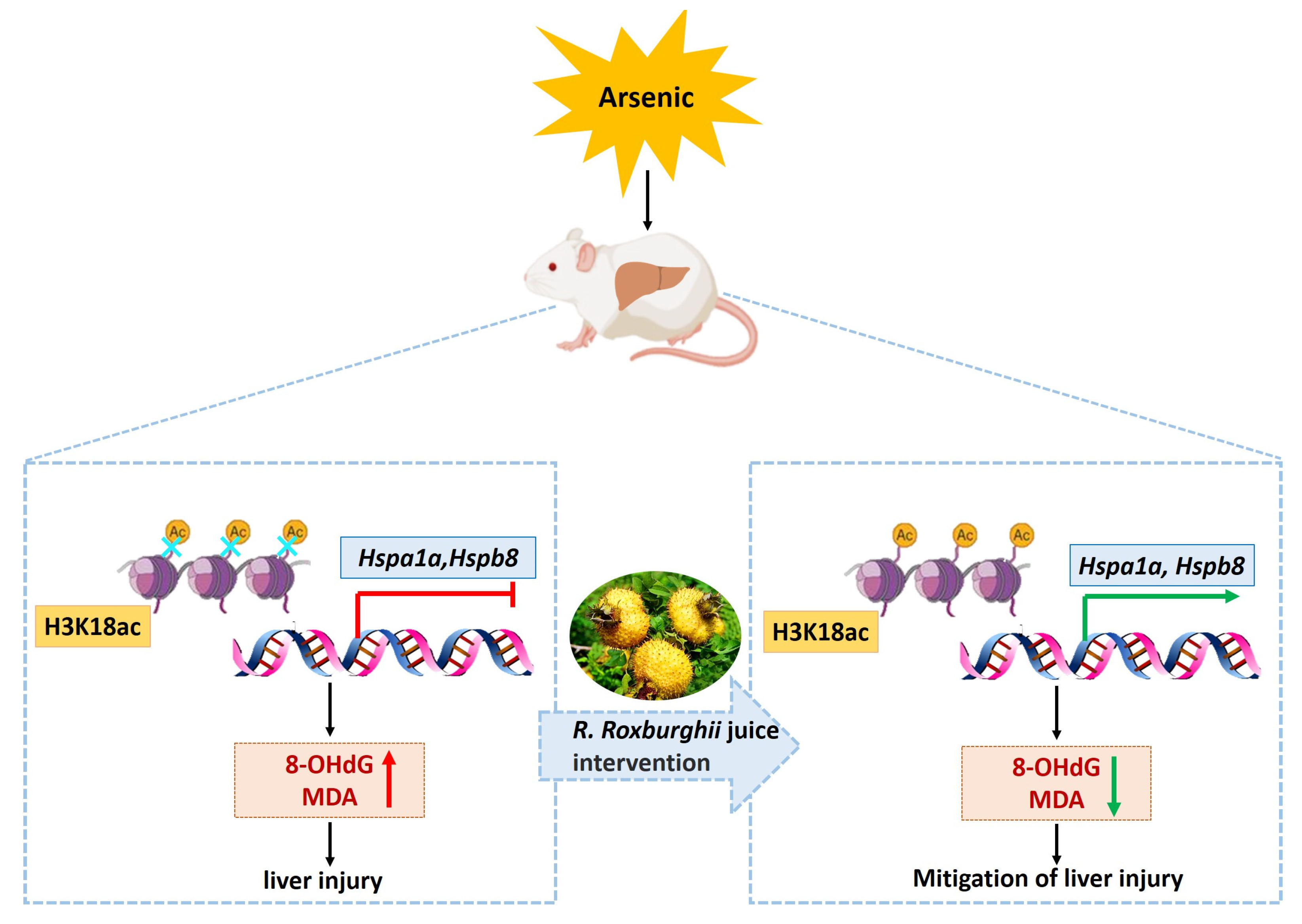Toxics 11 00503 g007