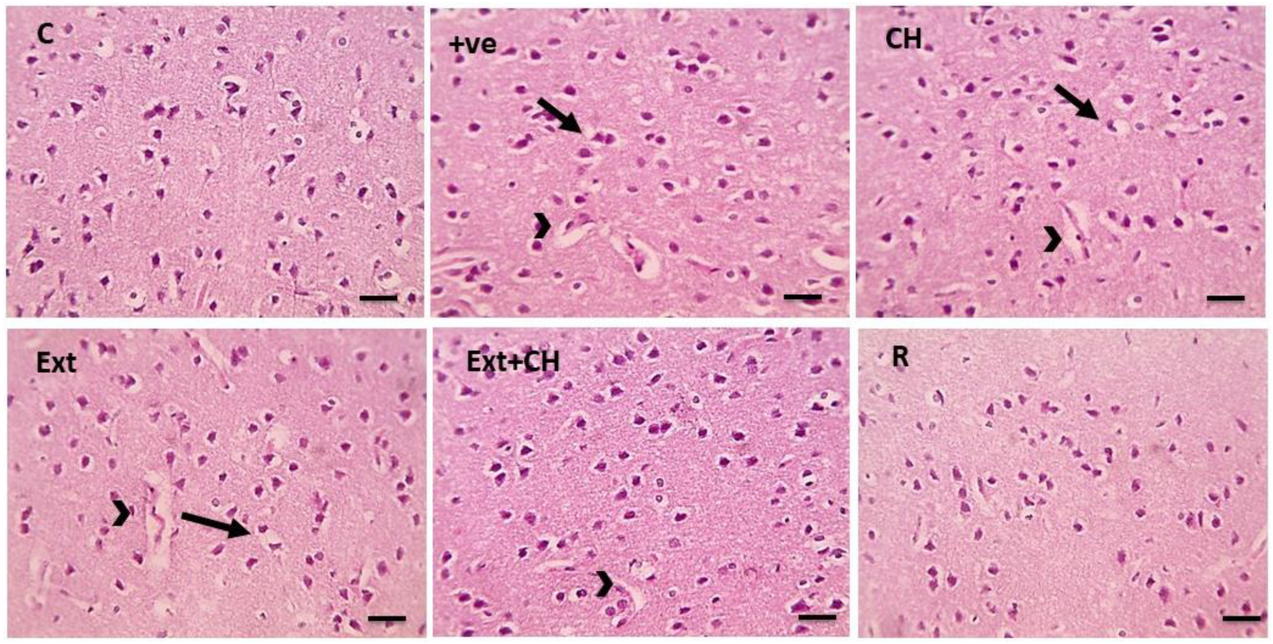 Toxics 11 00509 g001