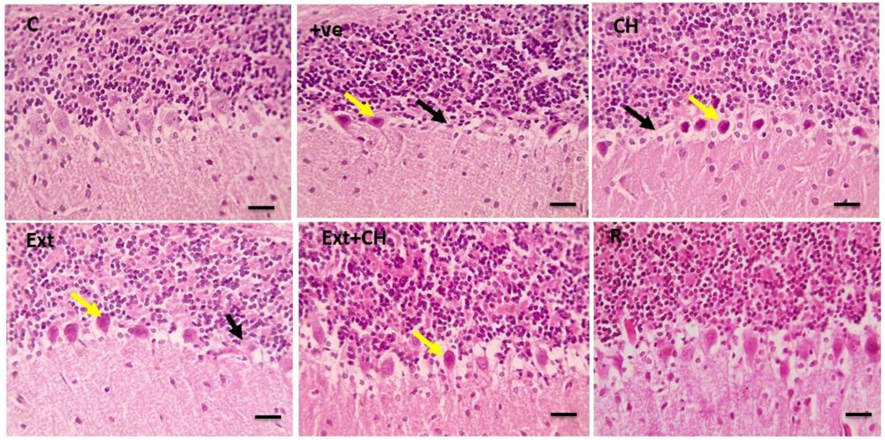 Toxics 11 00509 g002