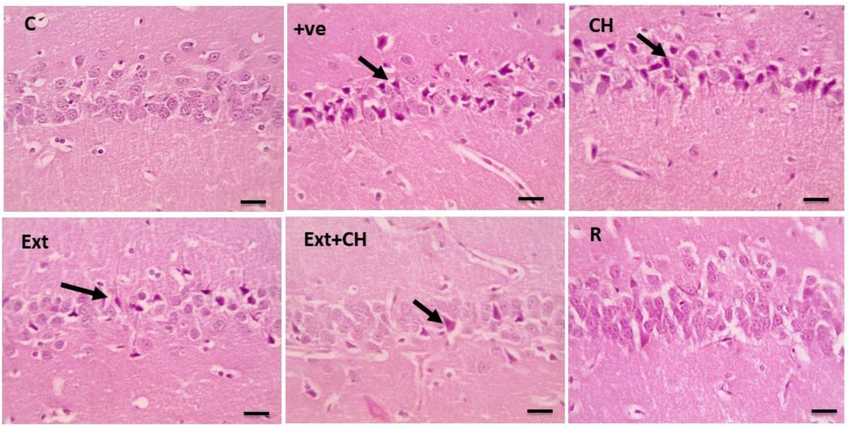 Toxics 11 00509 g003