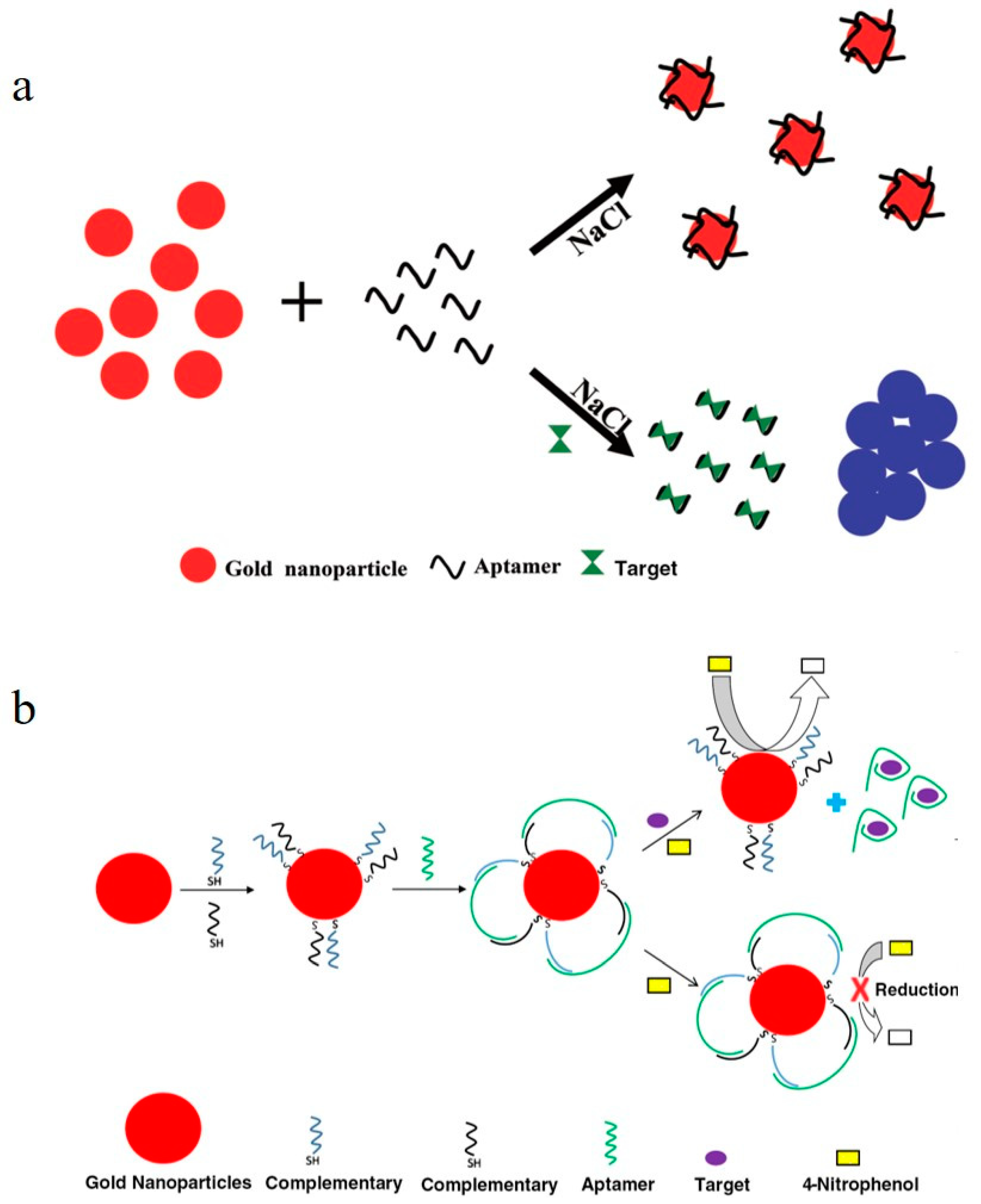 Toxics 11 00513 g003