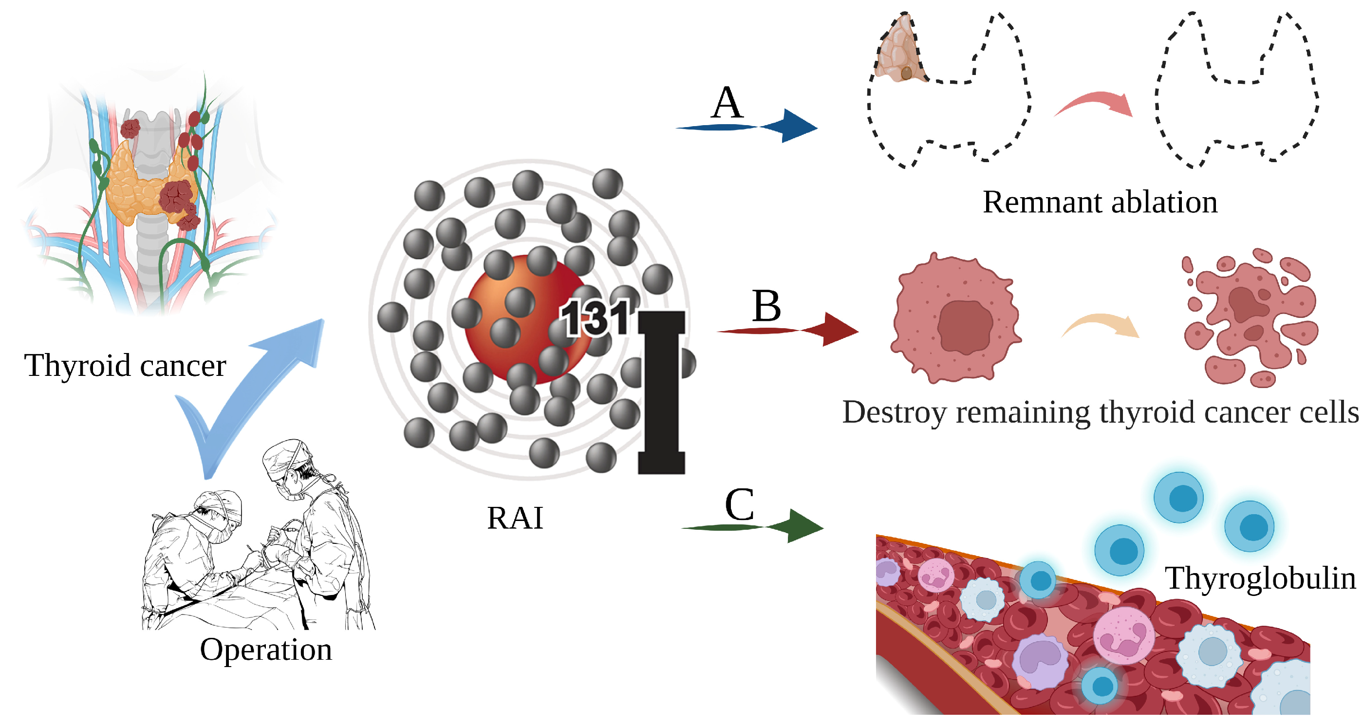 Toxics 11 00529 g001