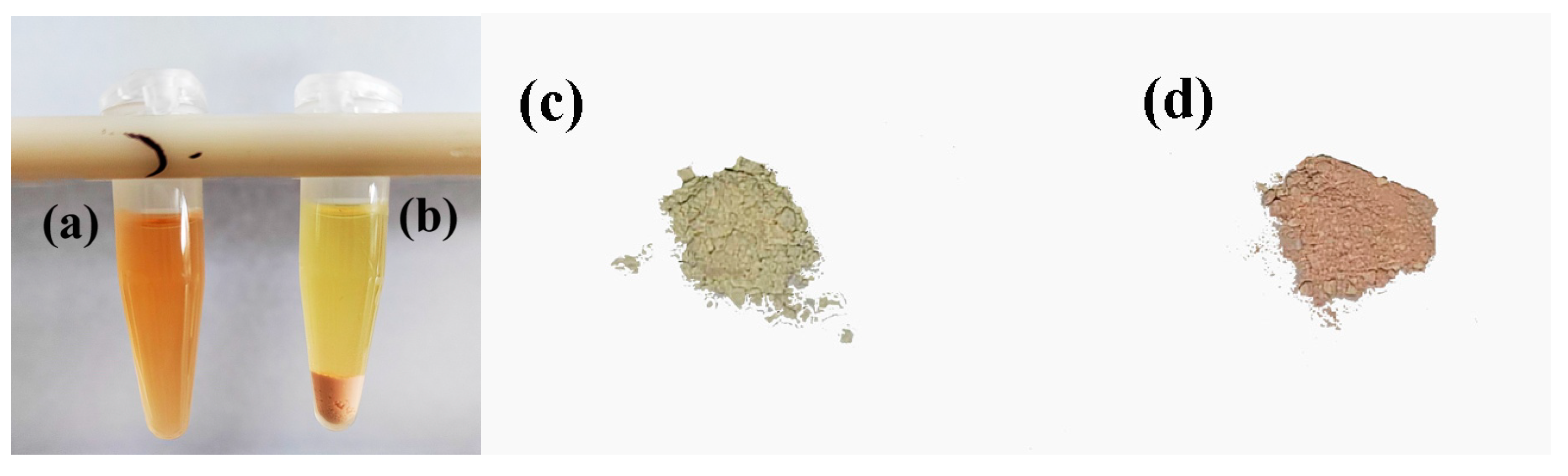 Toxics 11 00537 g004