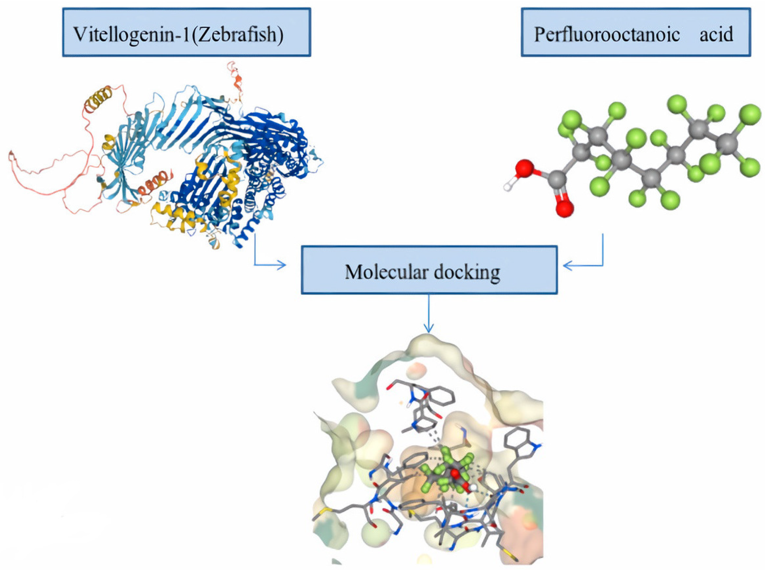 Toxics 11 00543 g004
