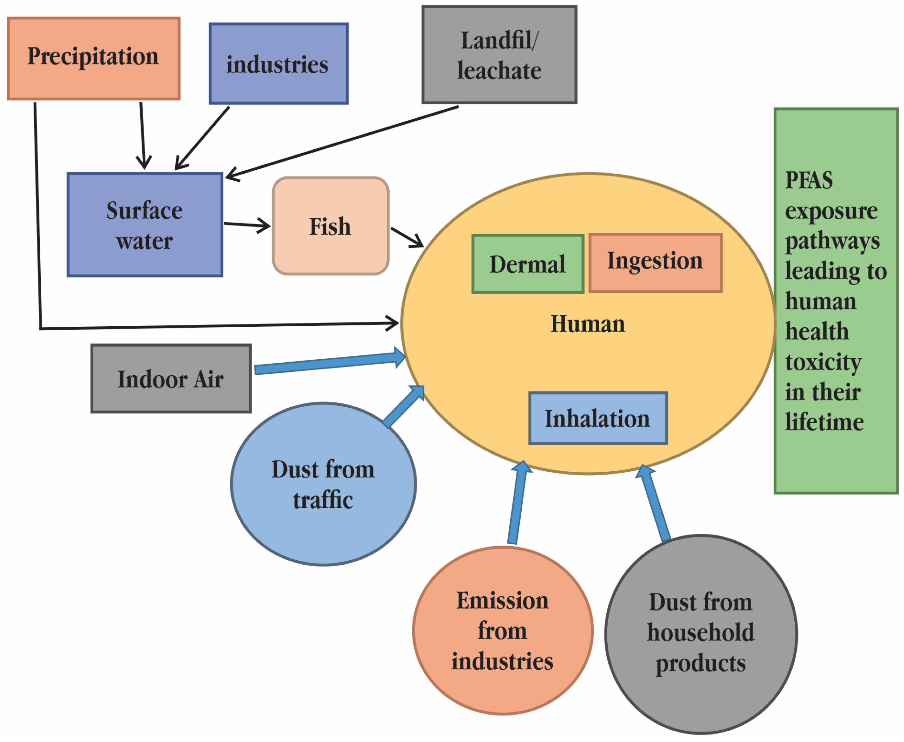 Toxics 11 00543 g006