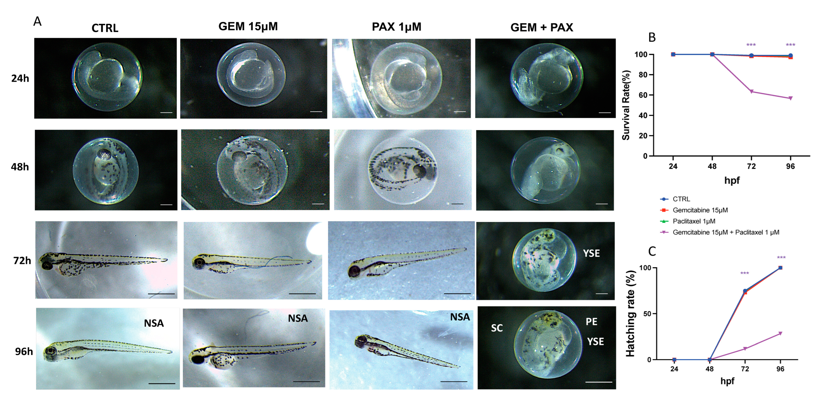 Toxics 11 00544 g001