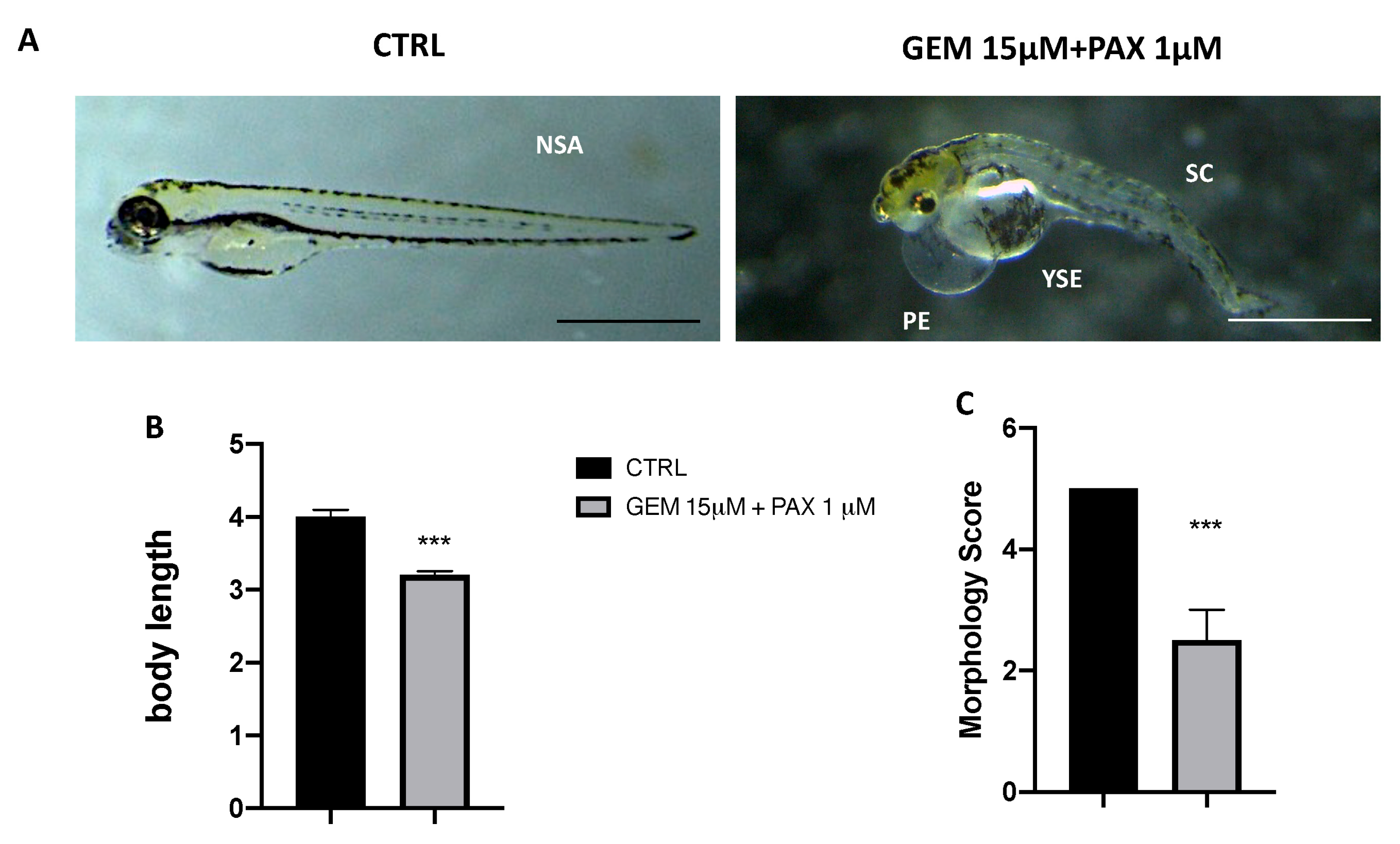 Toxics 11 00544 g002