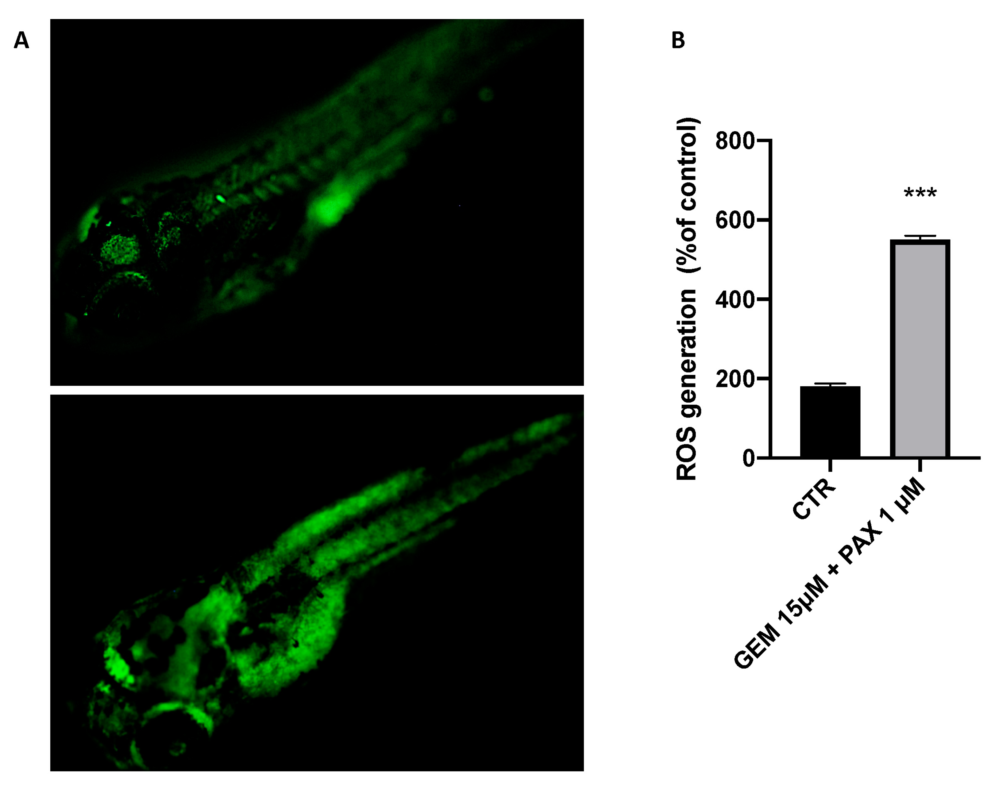 Toxics 11 00544 g003