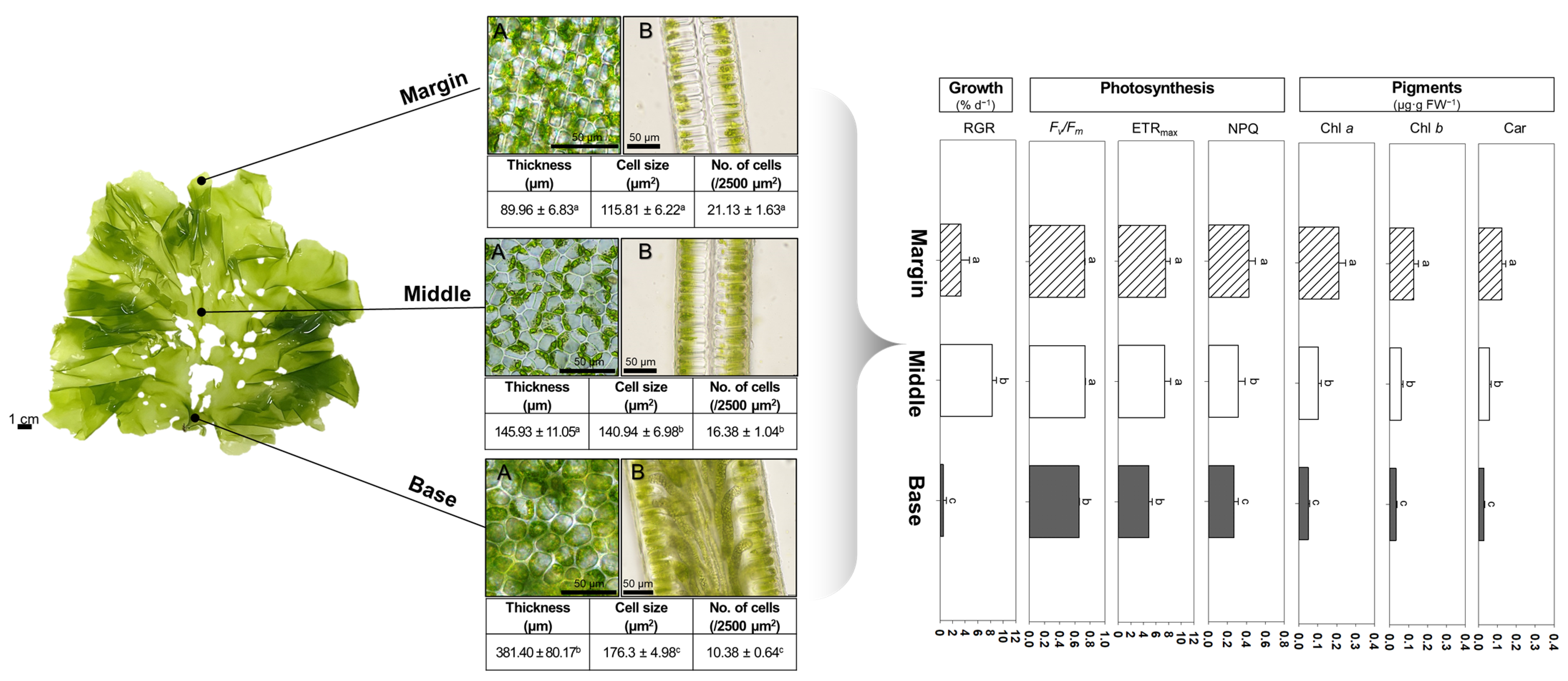 Toxics 11 00548 g001 Toxics 11 00548 g001