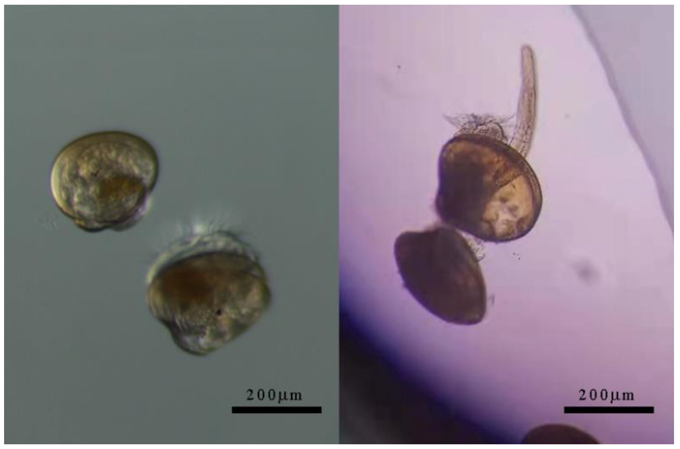 Toxics 11 00554 g001