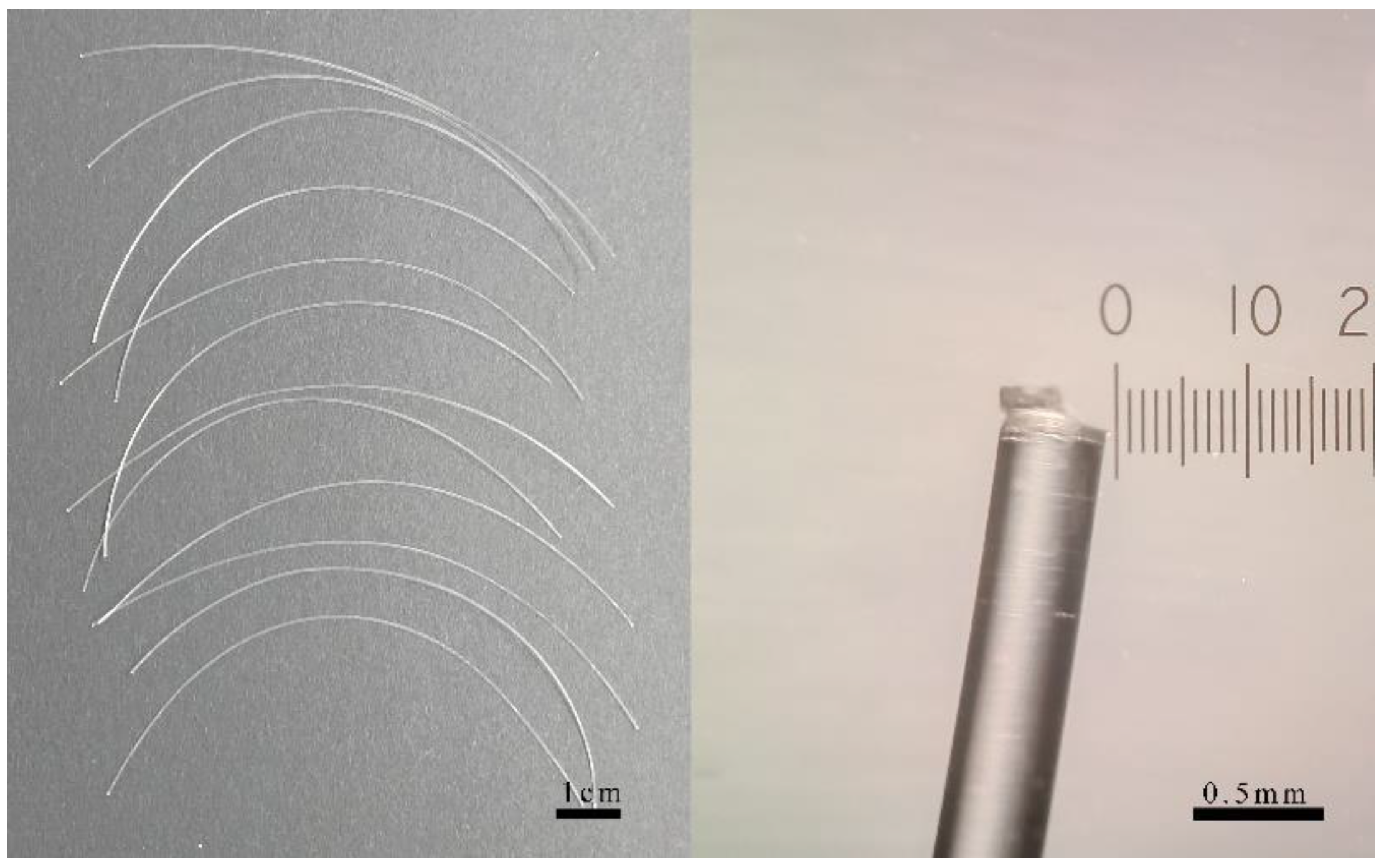 Toxics 11 00554 g002