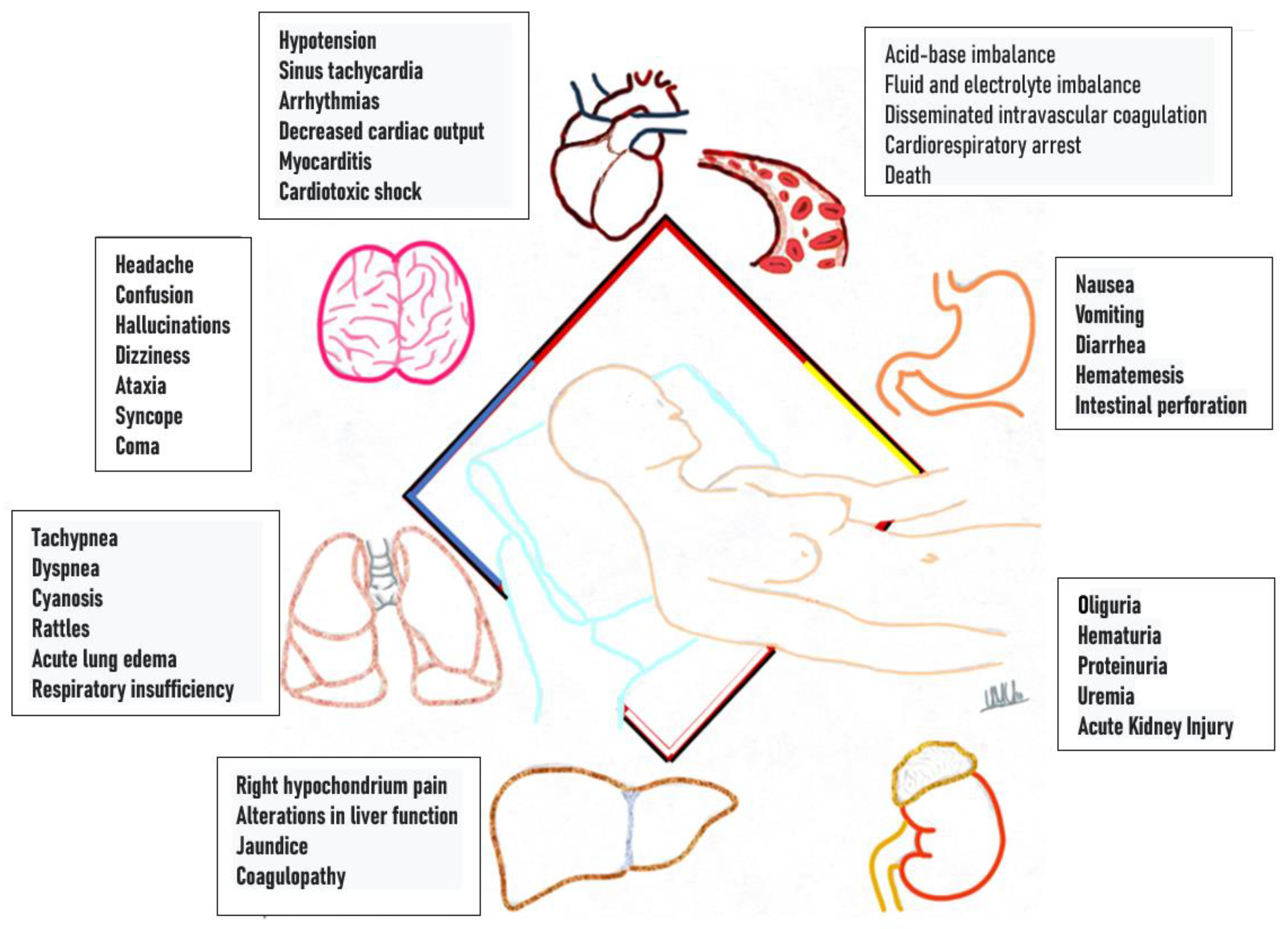 Toxics 11 00555 g008