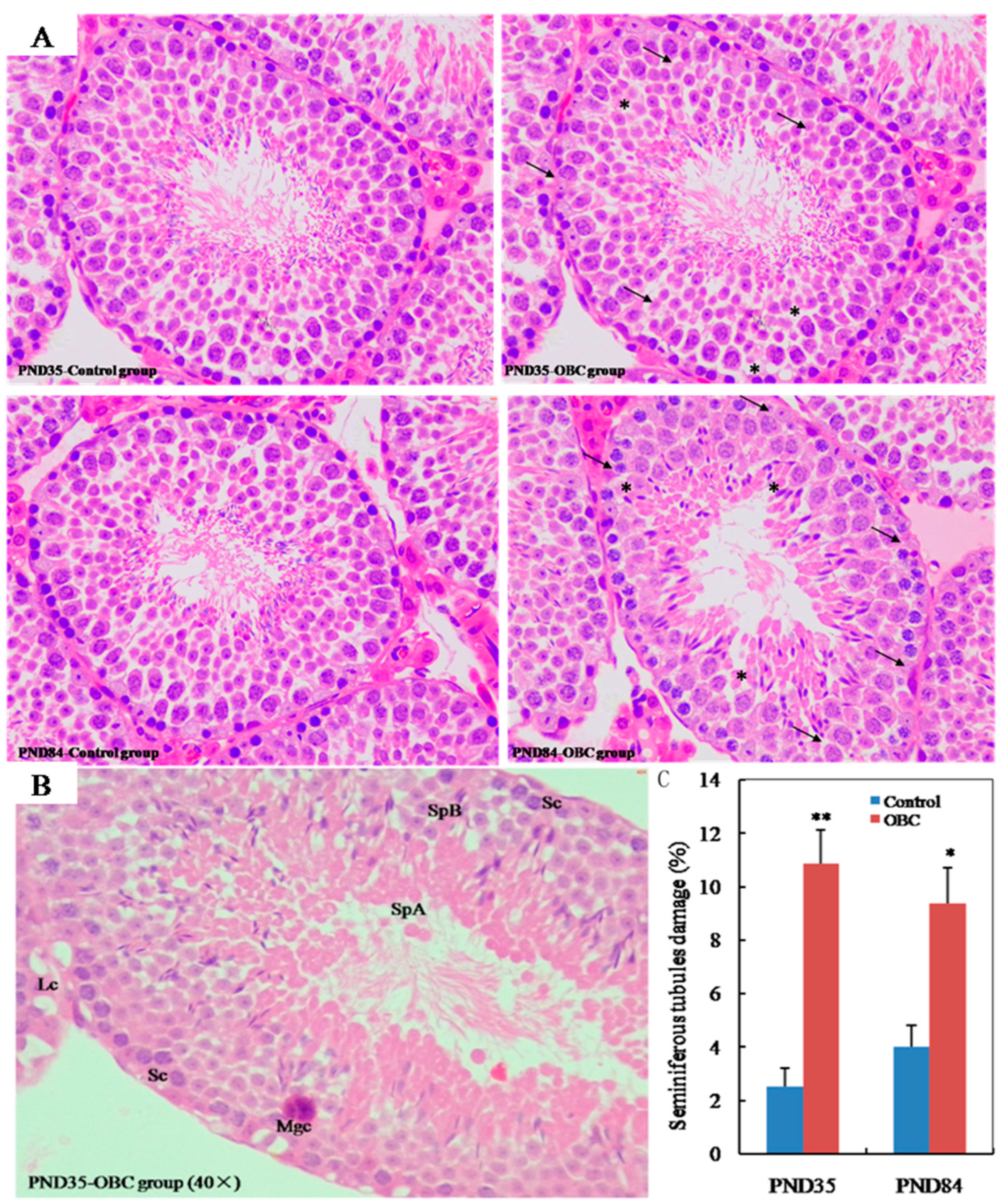 Toxics 11 00556 g001 Toxics 11 00556 g001
