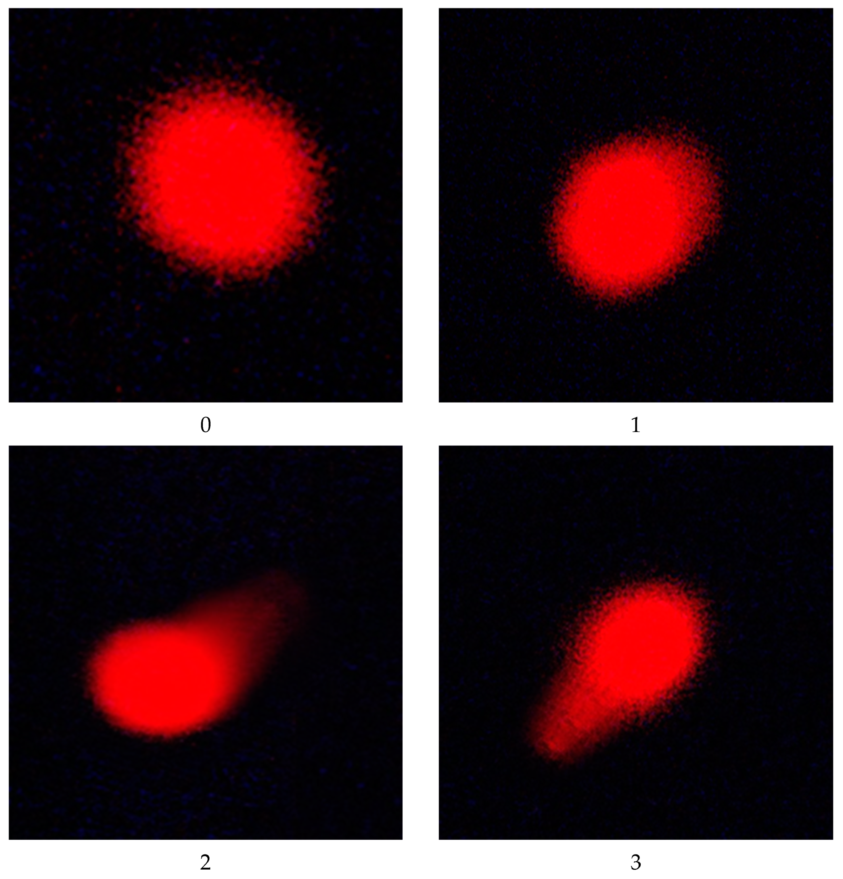 Toxics 11 00569 g001