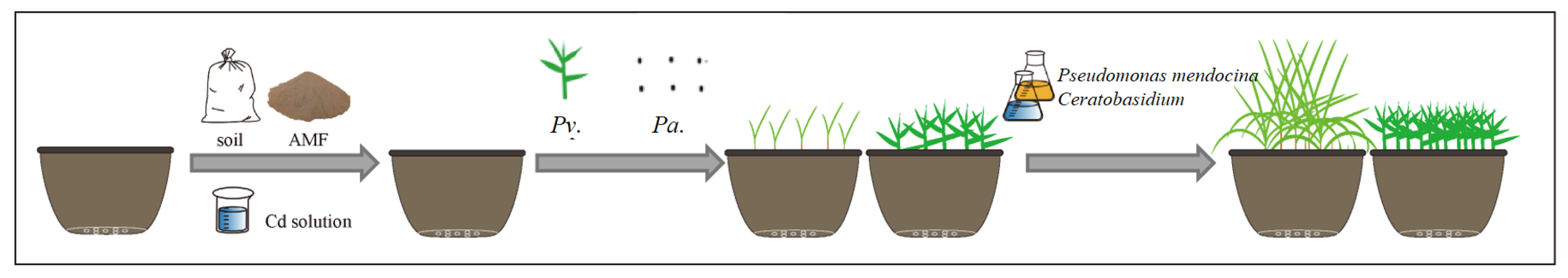 Toxics 11 00582 g001