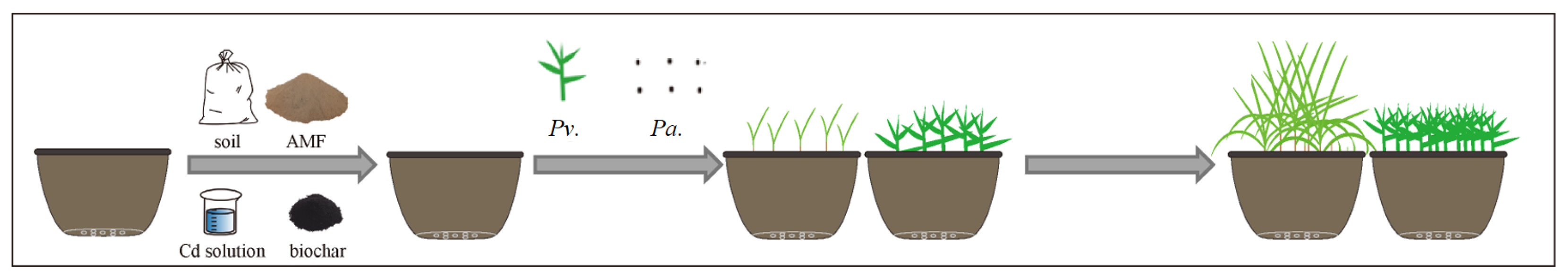 Toxics 11 00582 g002