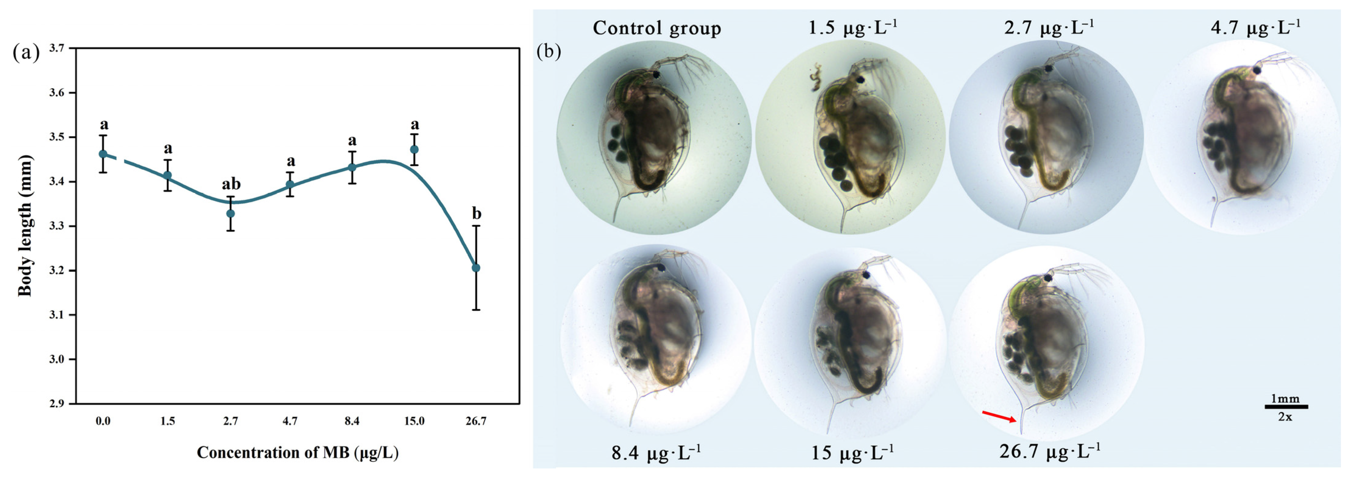 Toxics 11 00594 g006