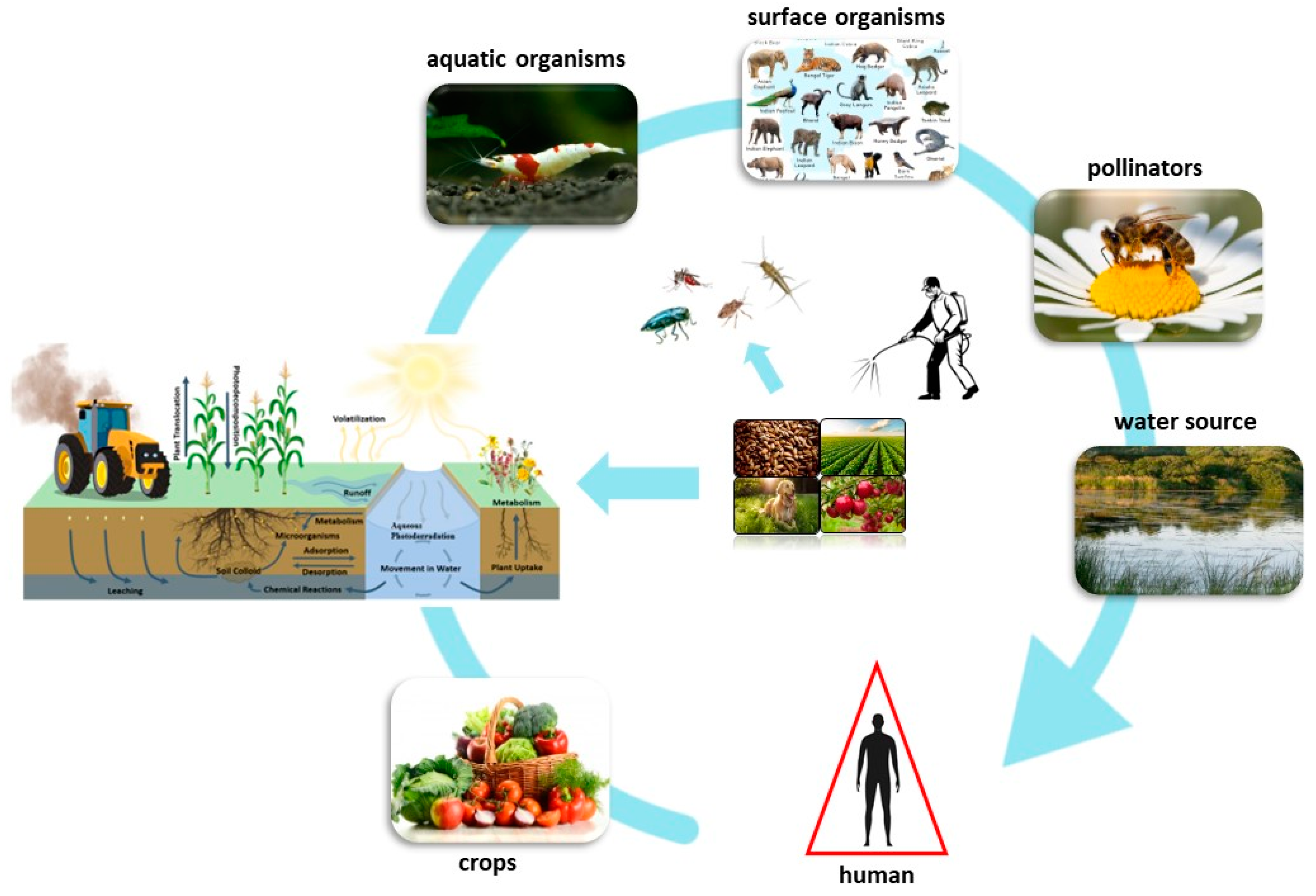 Toxics 11 00598 g001 Toxics 11 00598 g001