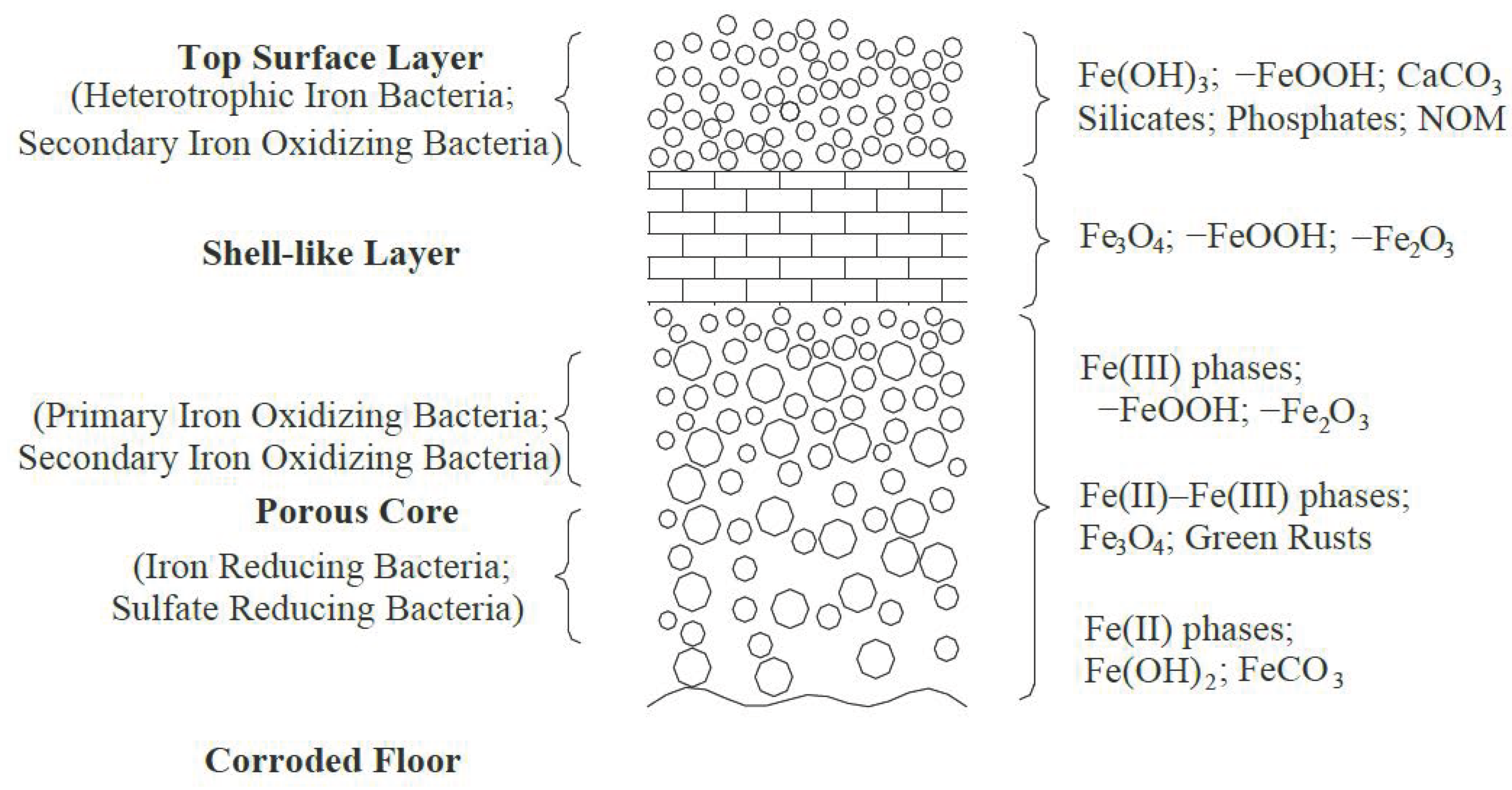 Toxics 11 00606 g001