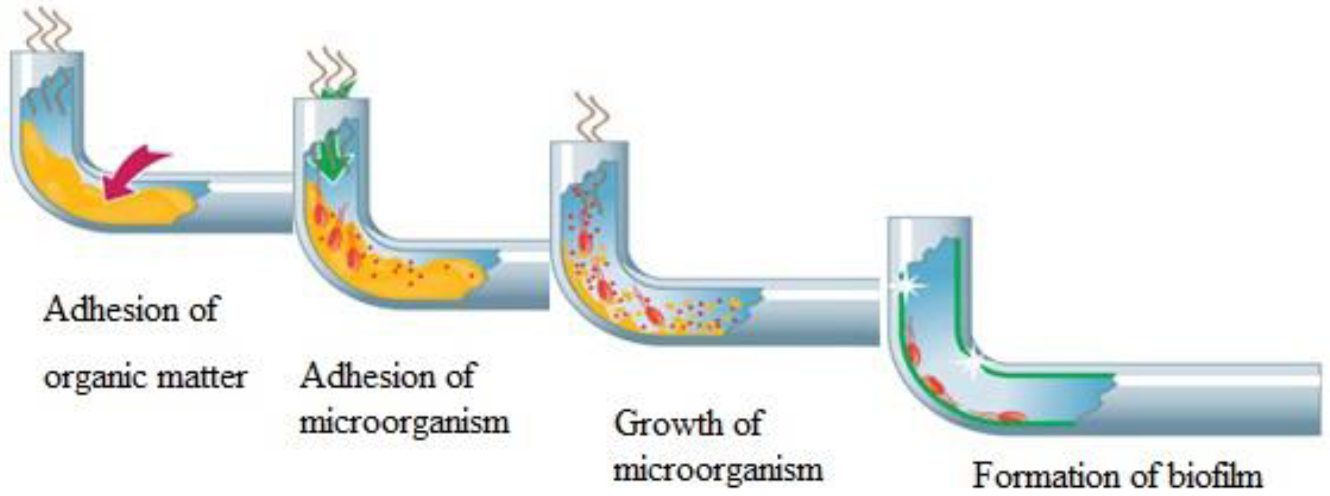Toxics 11 00606 g003