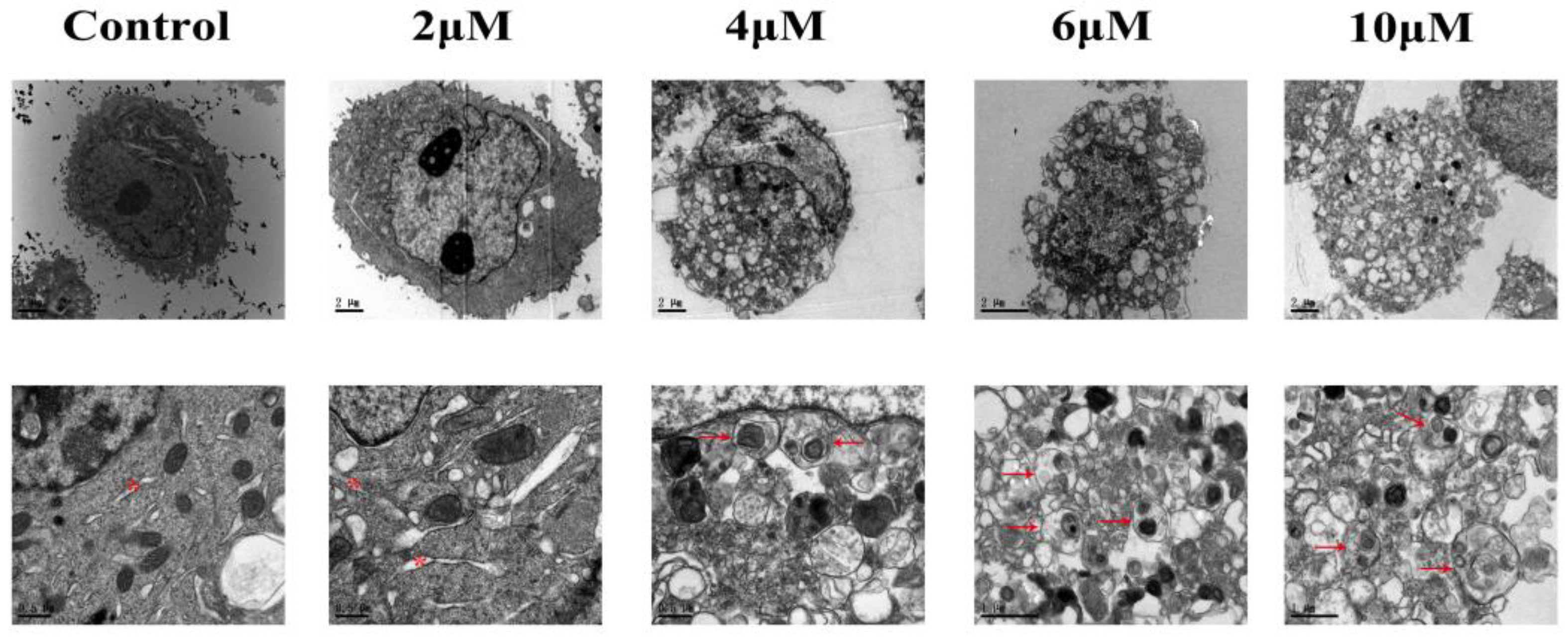 Toxics 11 00607 g002