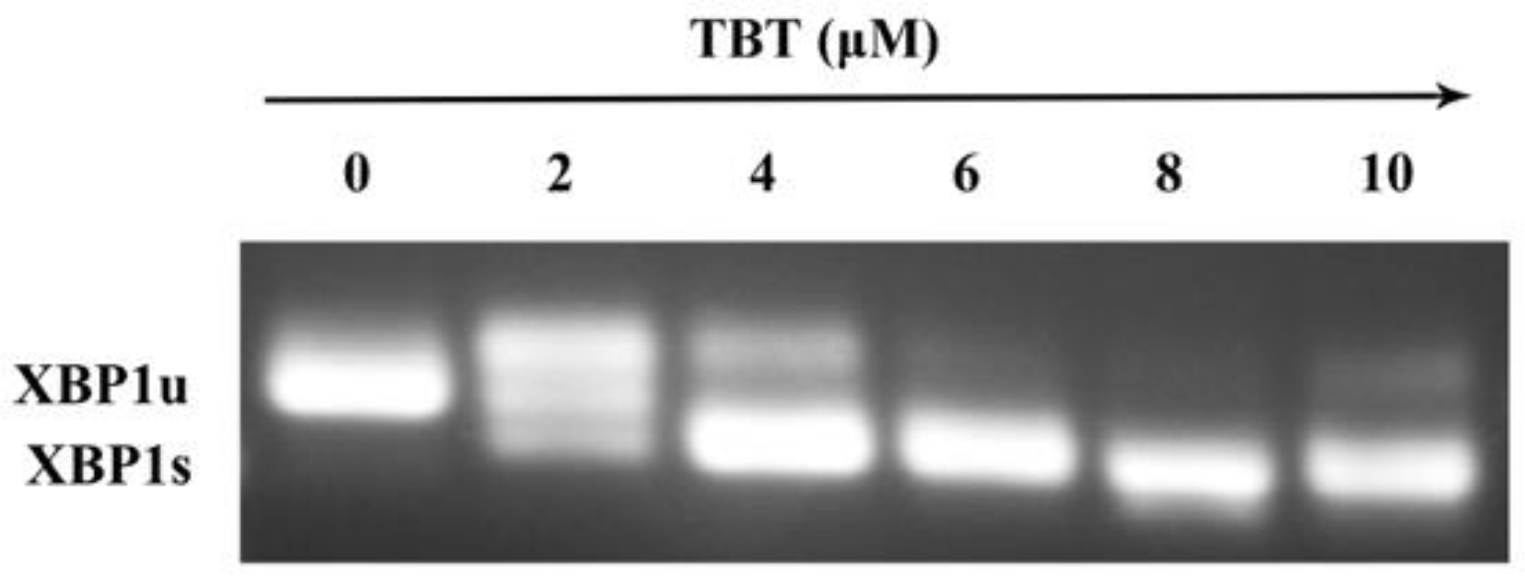 Toxics 11 00607 g003