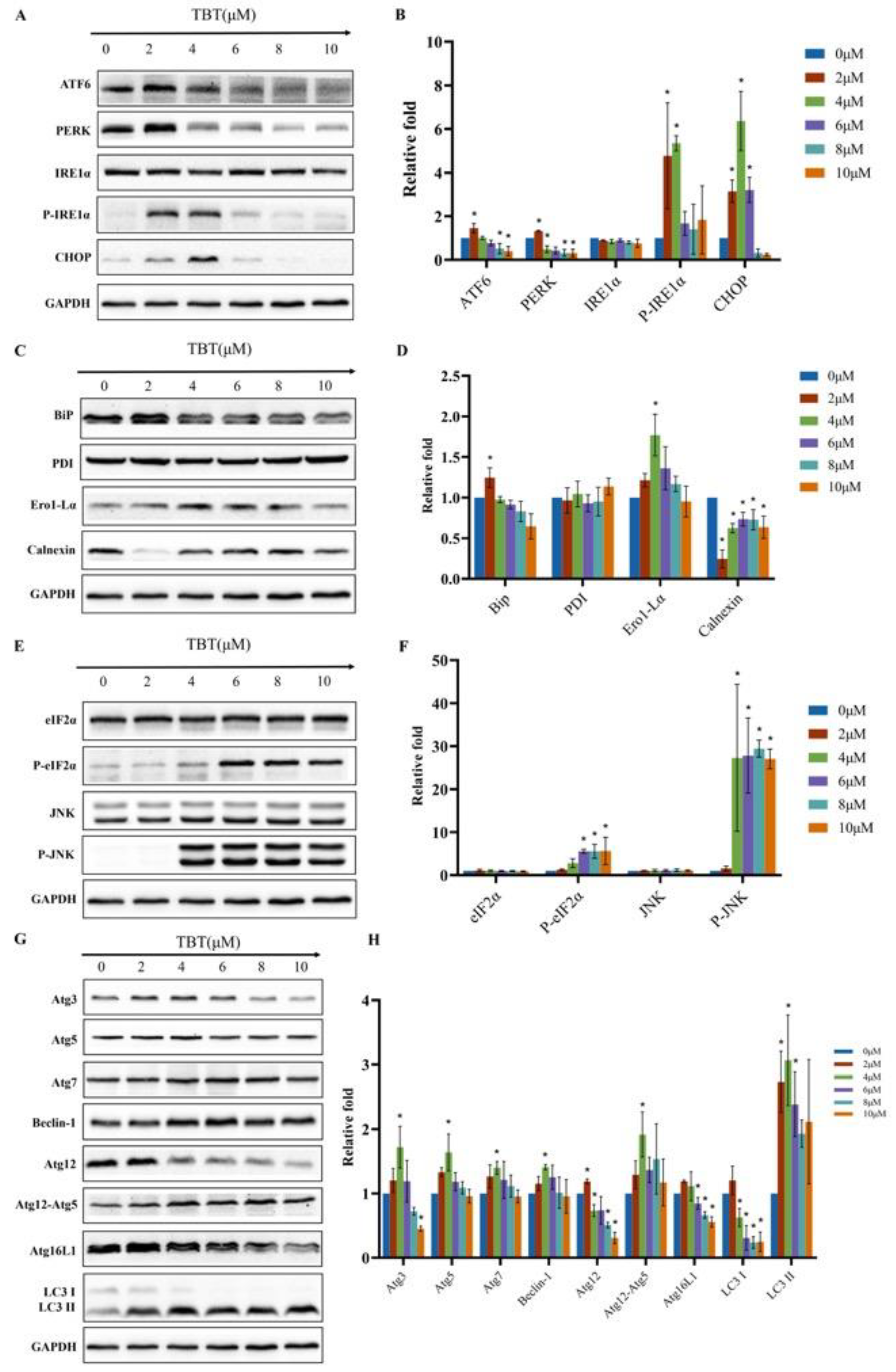 Toxics 11 00607 g008