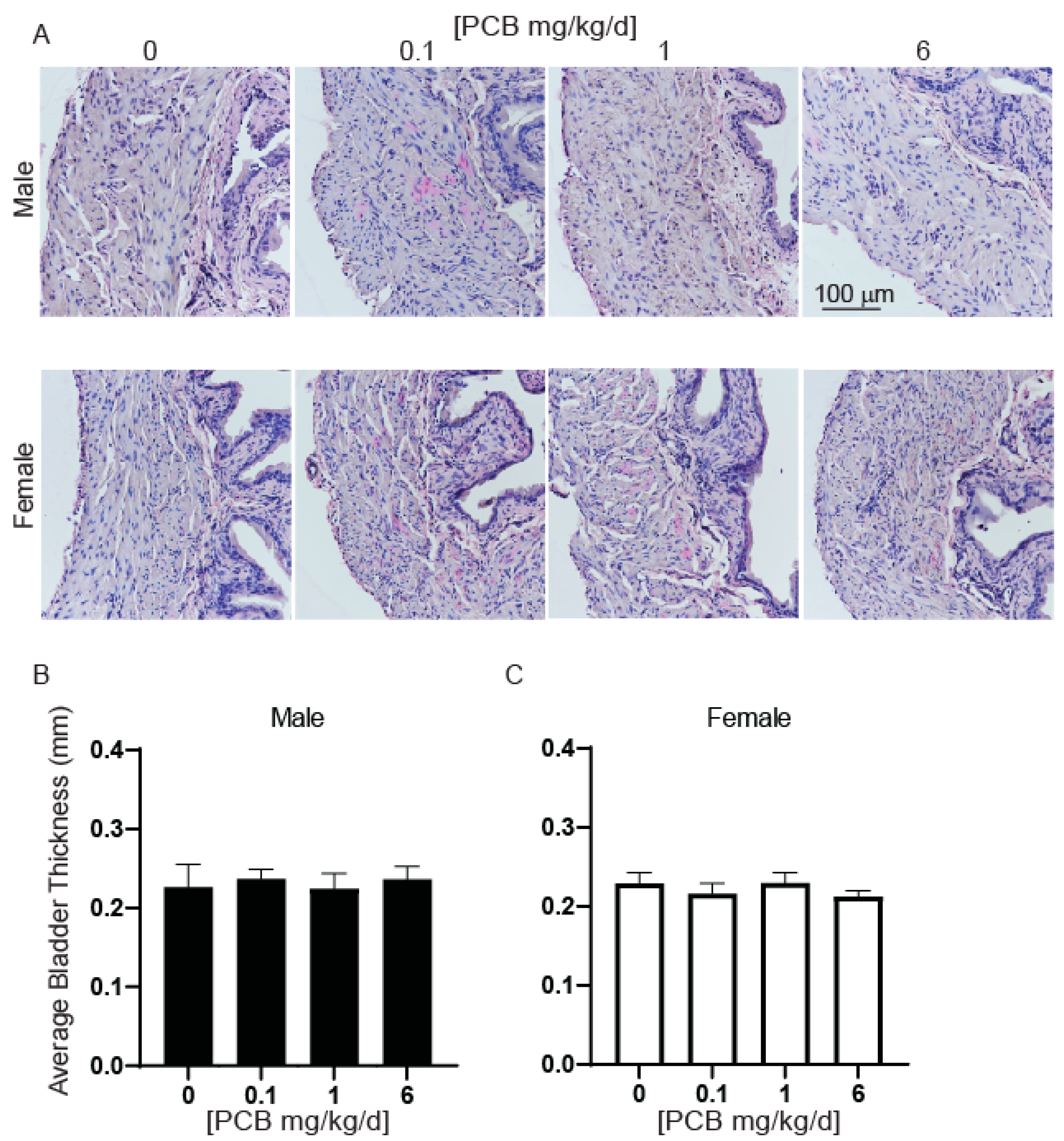 Toxics 11 00609 g009