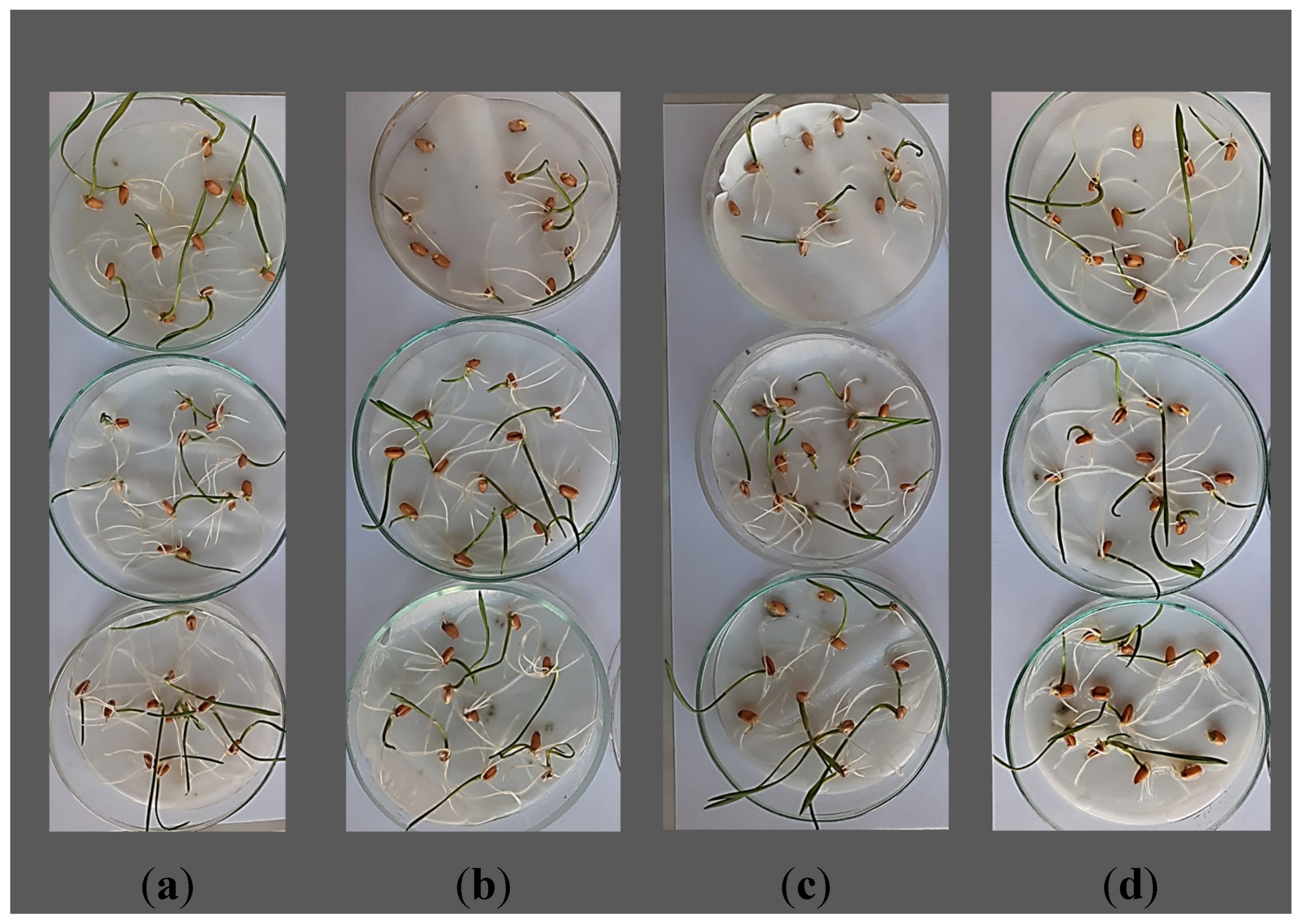 Toxics 11 00618 g001 Toxics 11 00618 g001