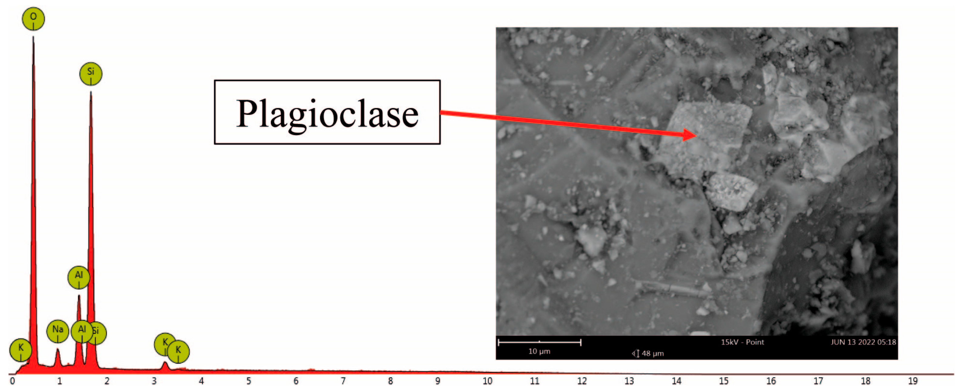 Toxics 11 00624 g003