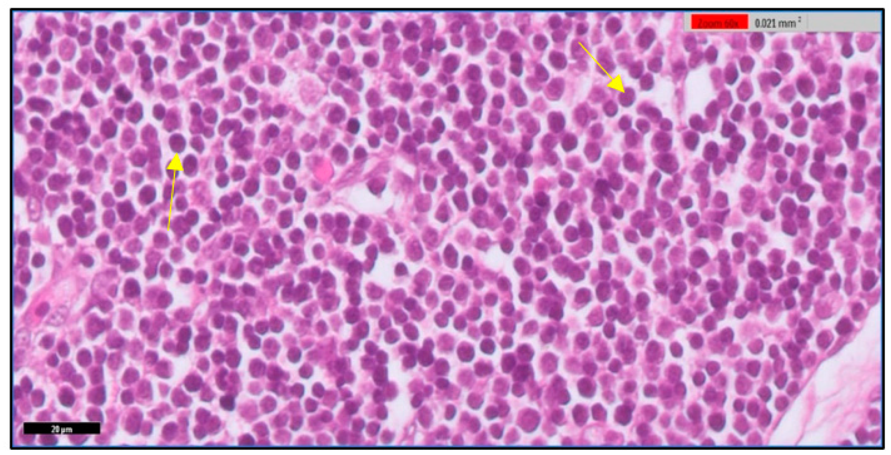 Toxics 11 00625 g002