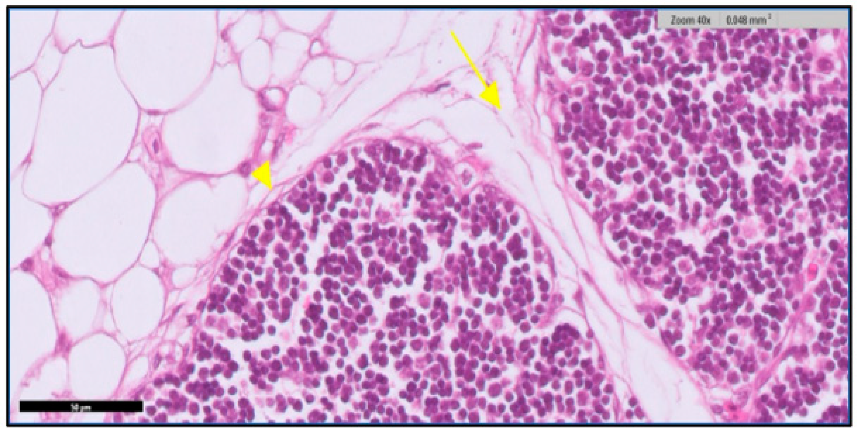 Toxics 11 00625 g004