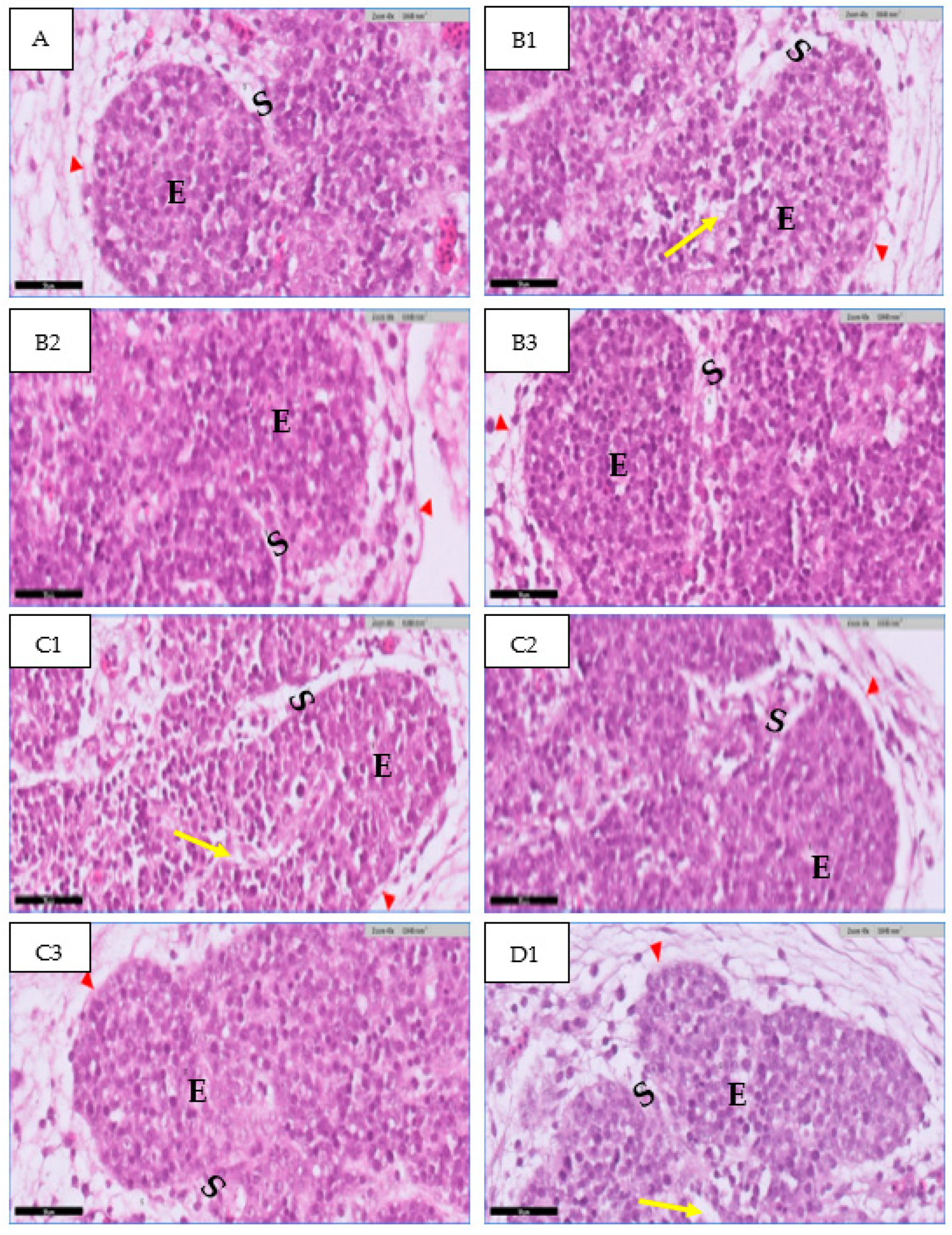 Toxics 11 00625 g005