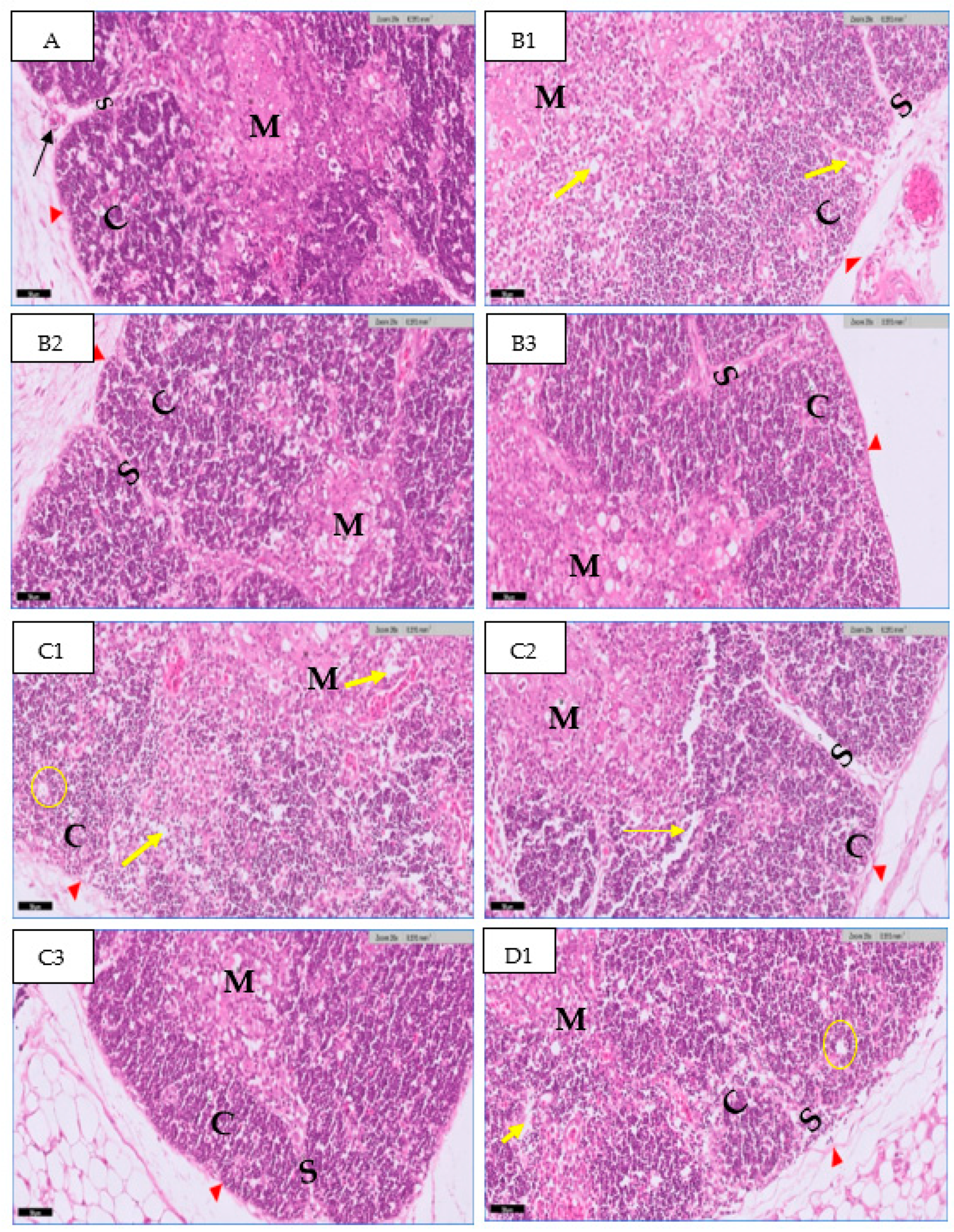 Toxics 11 00625 g006