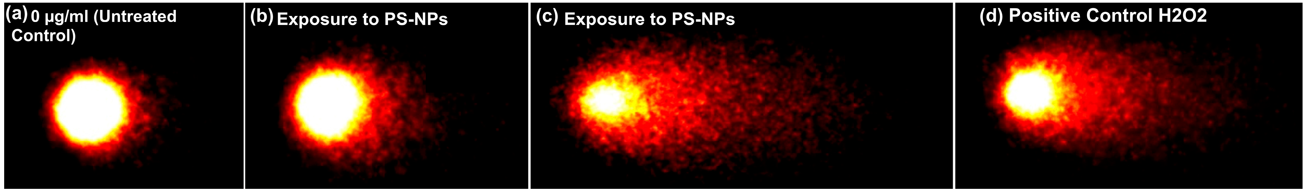 Toxics 11 00627 g001