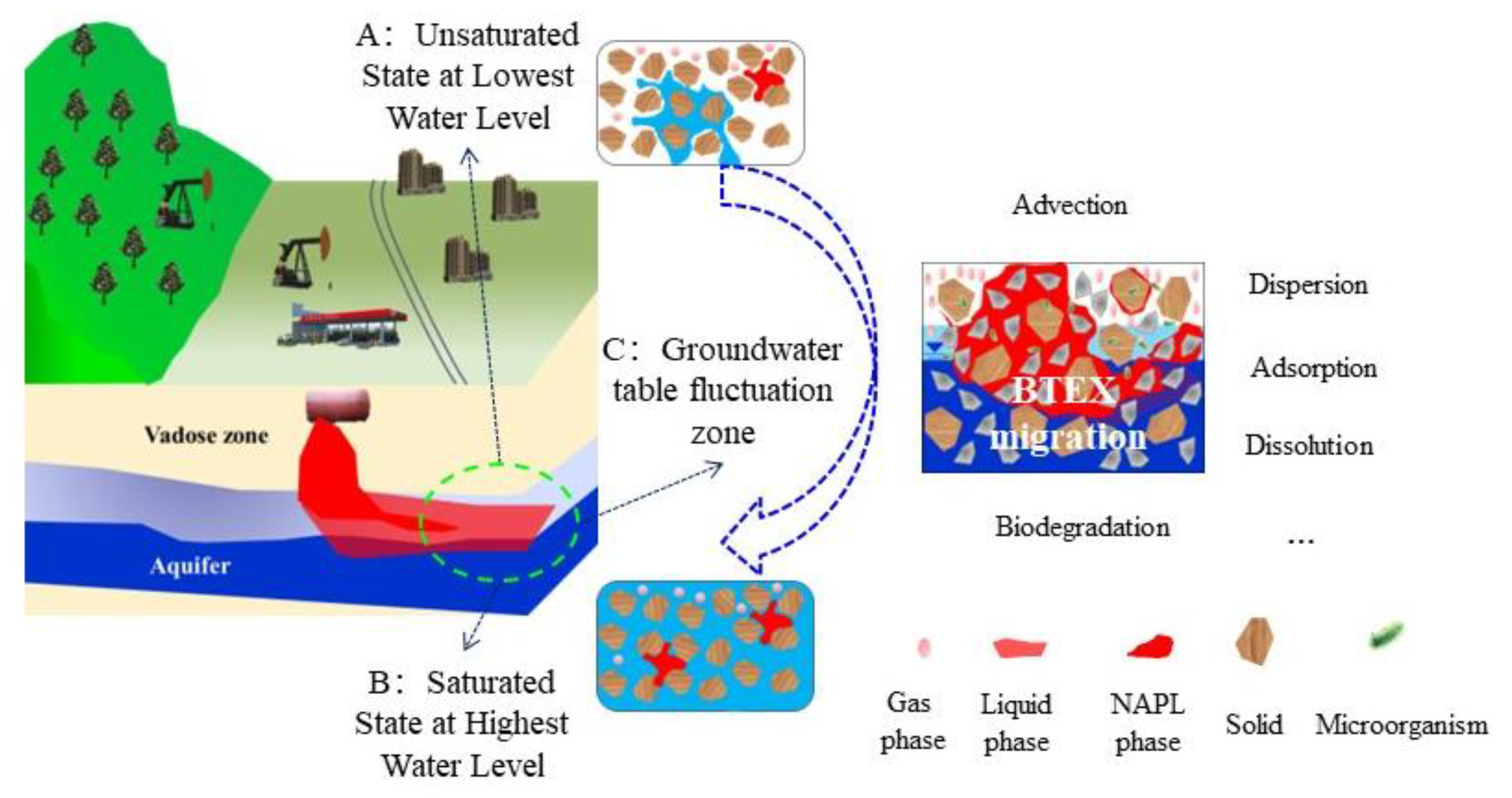 Toxics 11 00630 g001