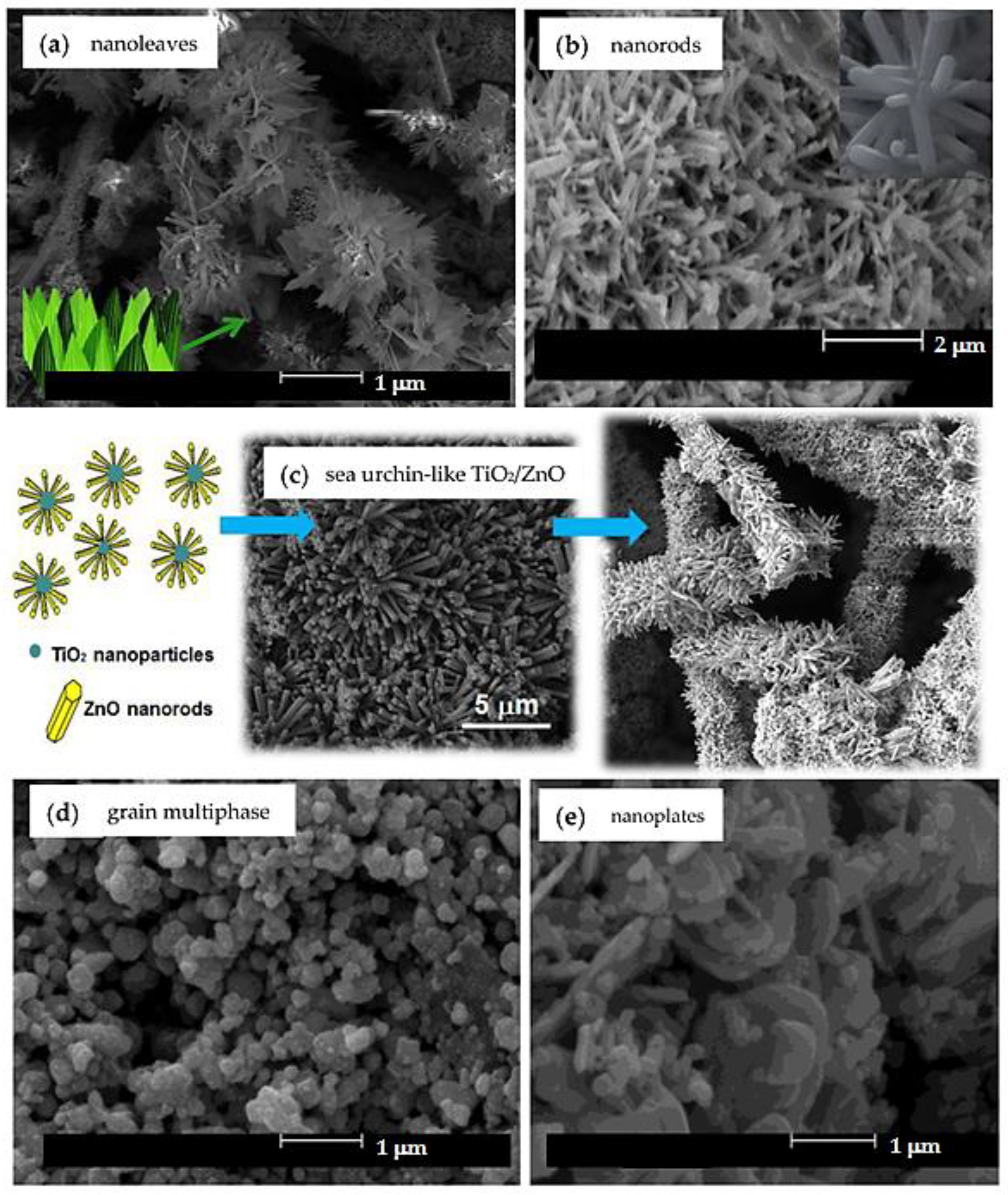 Toxics 11 00658 g007