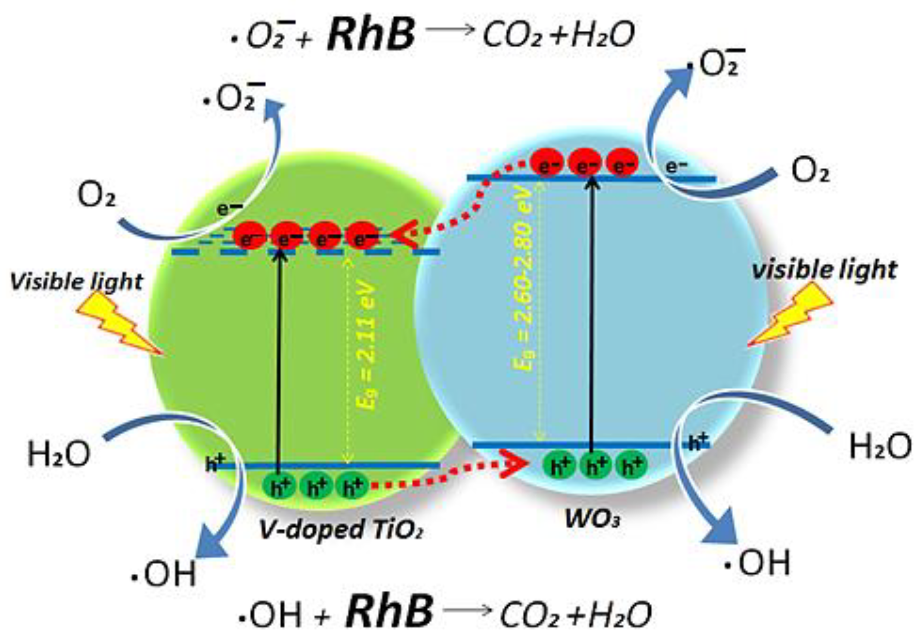Toxics 11 00658 g008